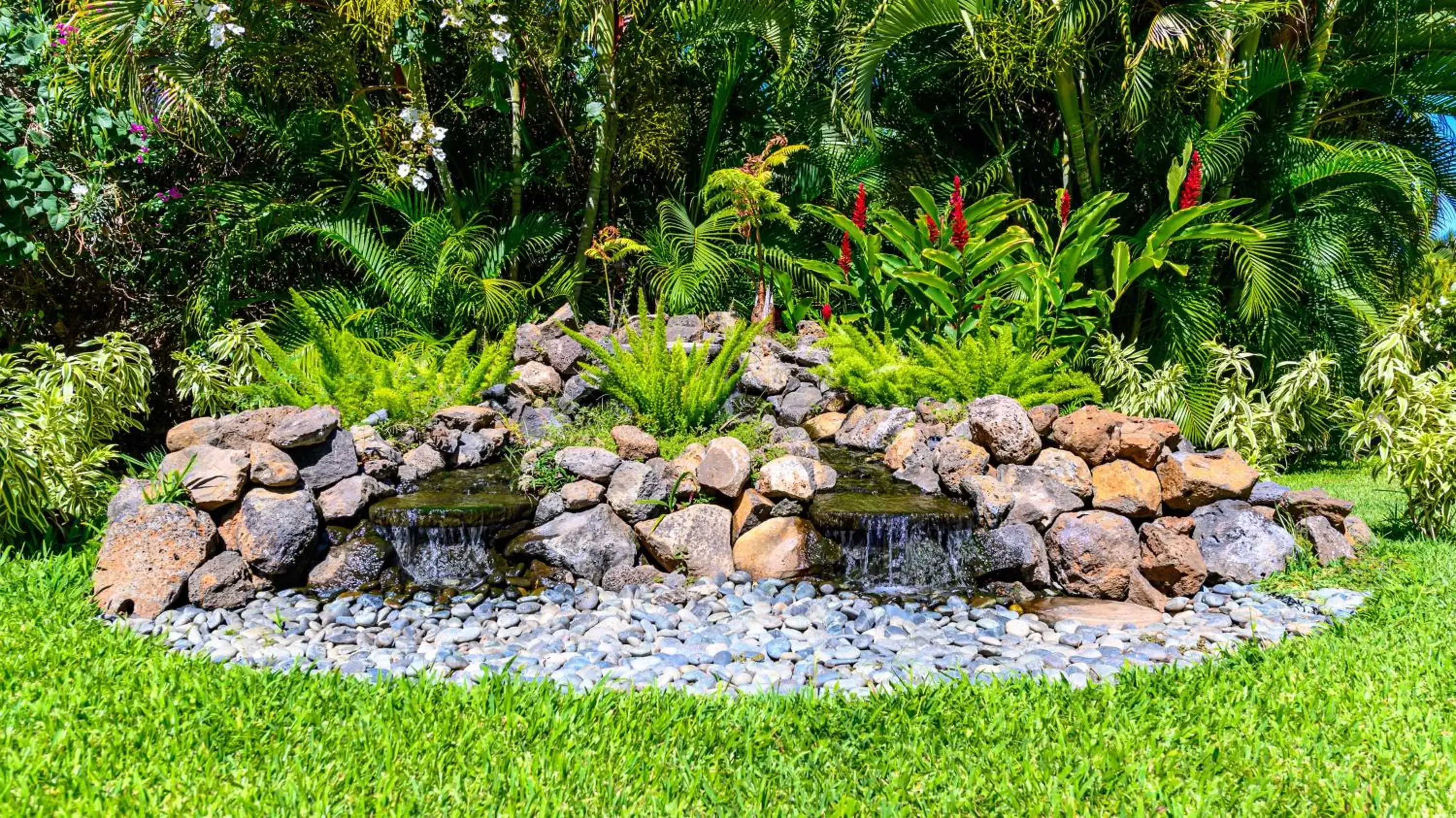 Garden in Castle Maui Banyan