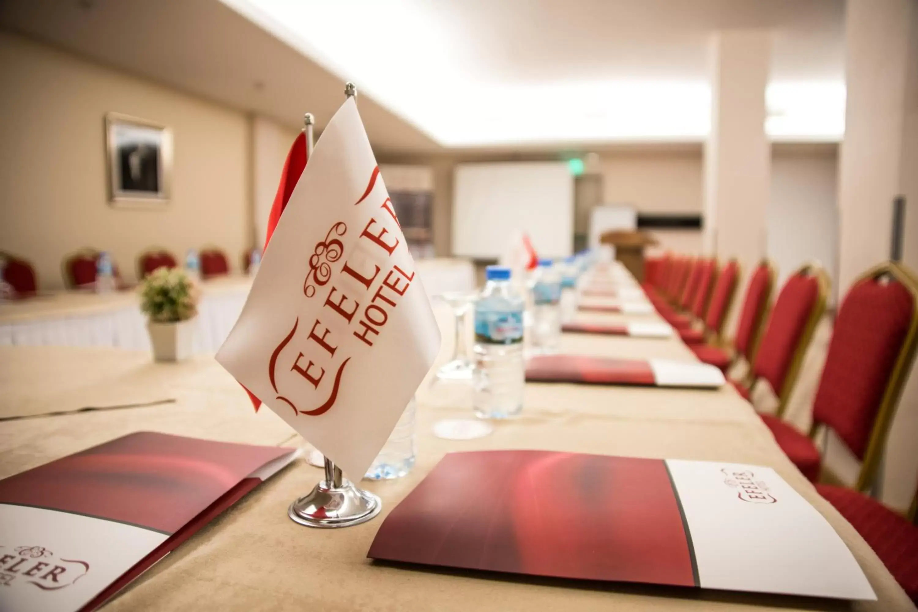 Meeting/conference room in Efeler Hotel