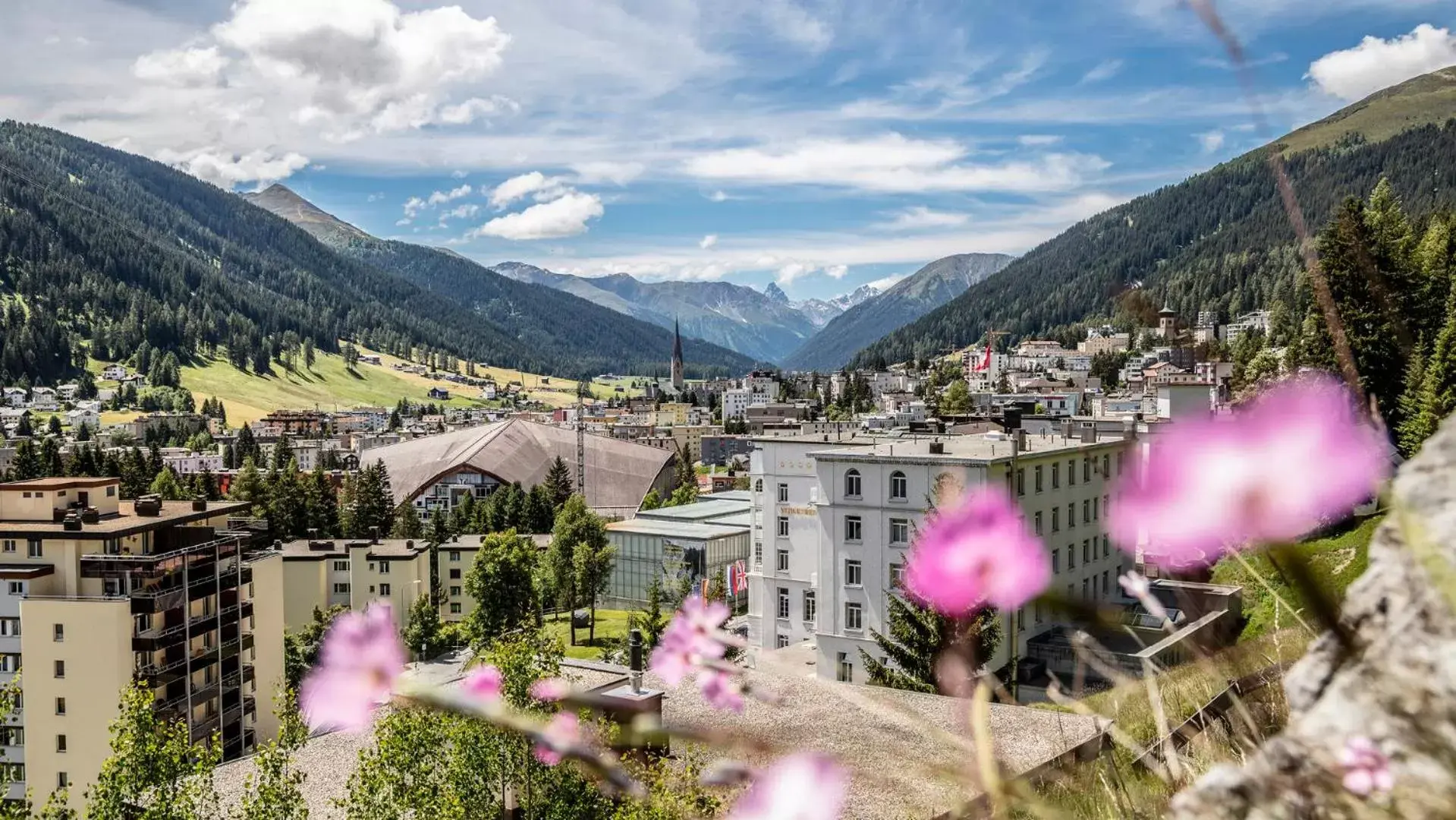 Natural landscape in Hotel Edelweiss