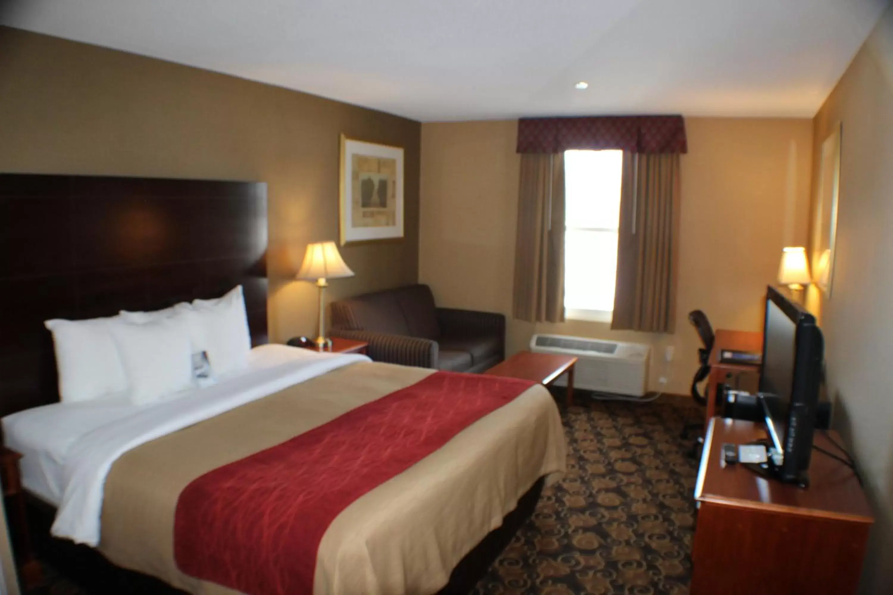 Standard King Room with Sofa Bed - Shower Only in Comfort Inn Rockland - Boston
