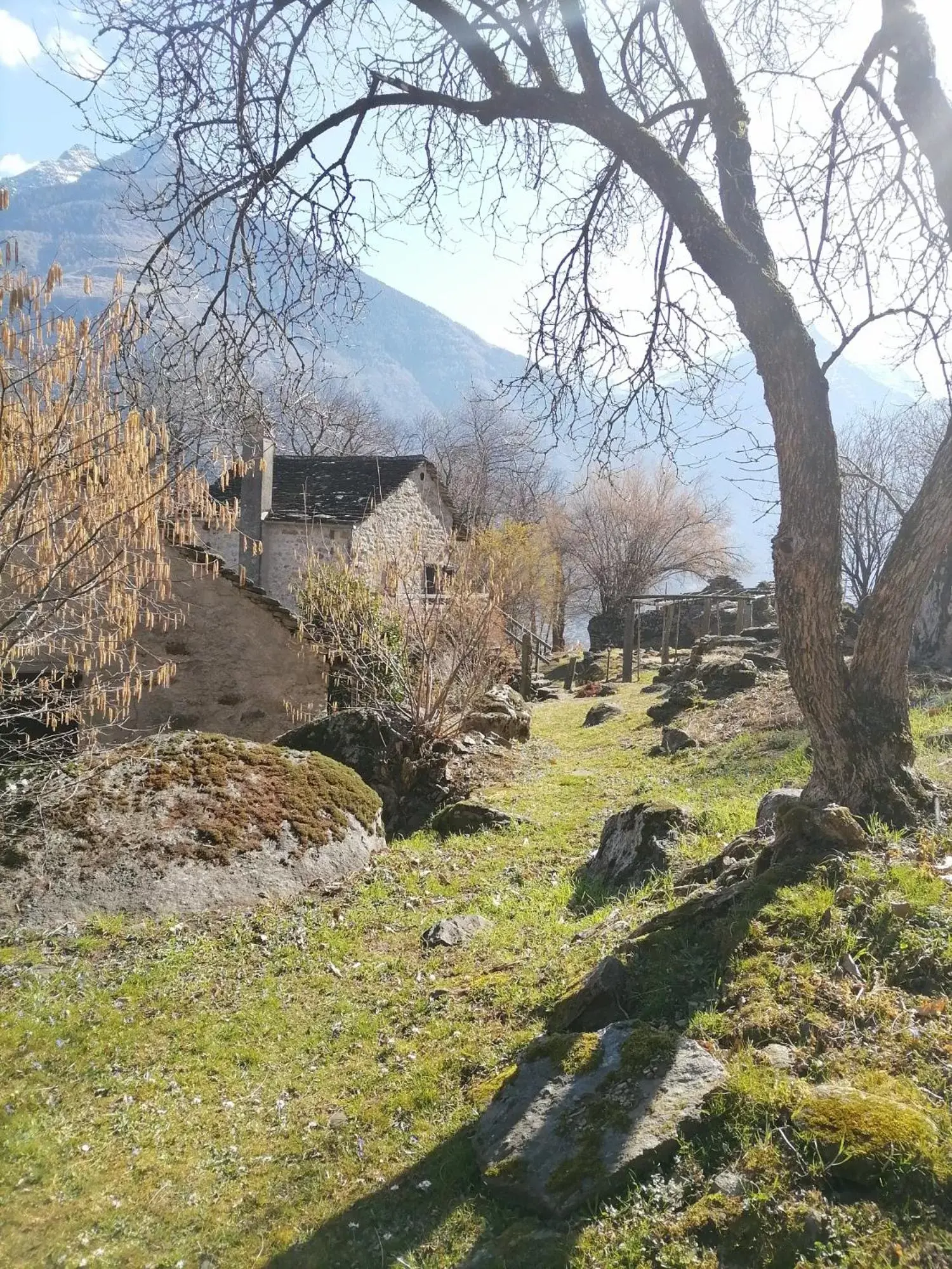 Spring, Natural Landscape in CASA BELGERI