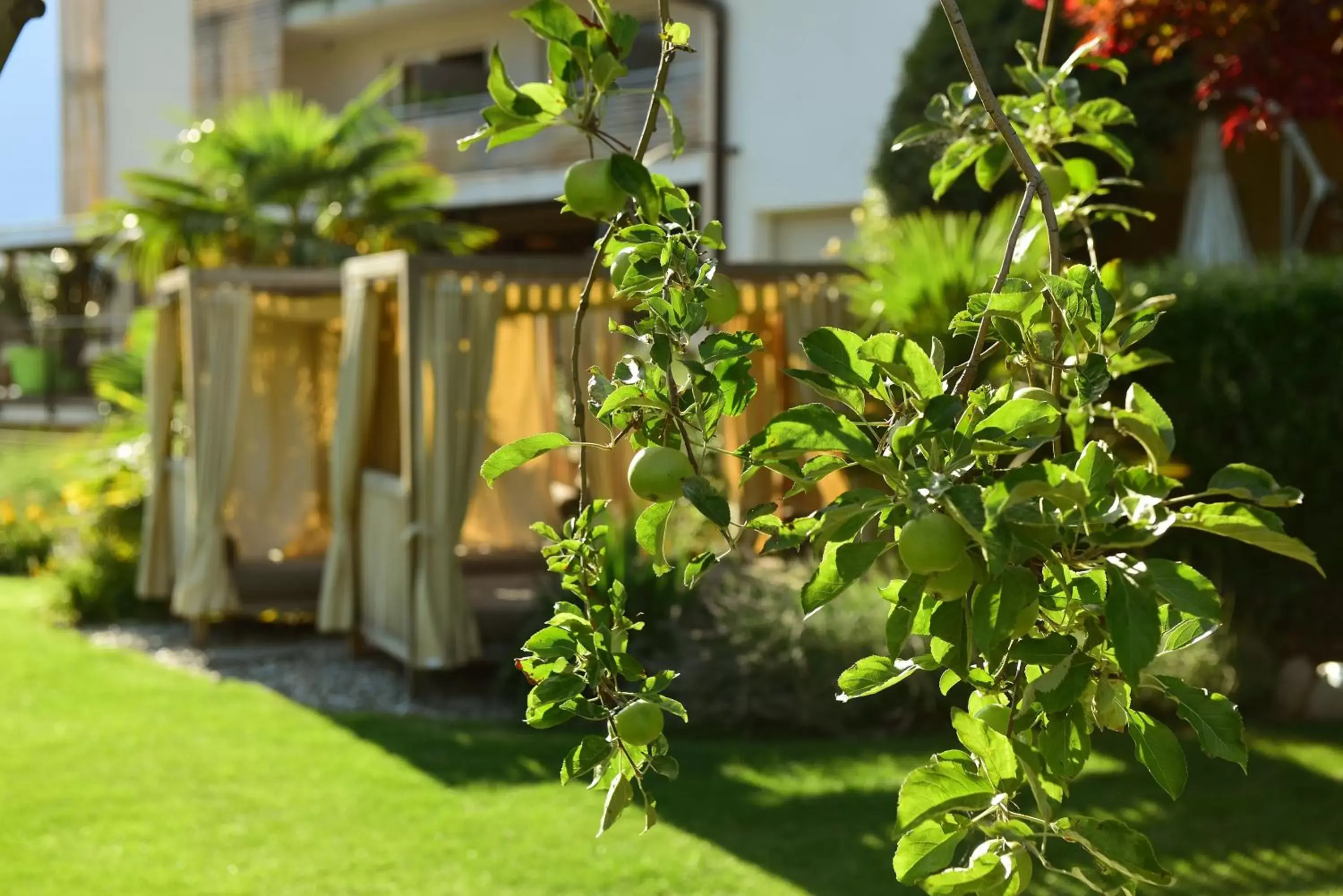 Garden in Hotel Pfeiss