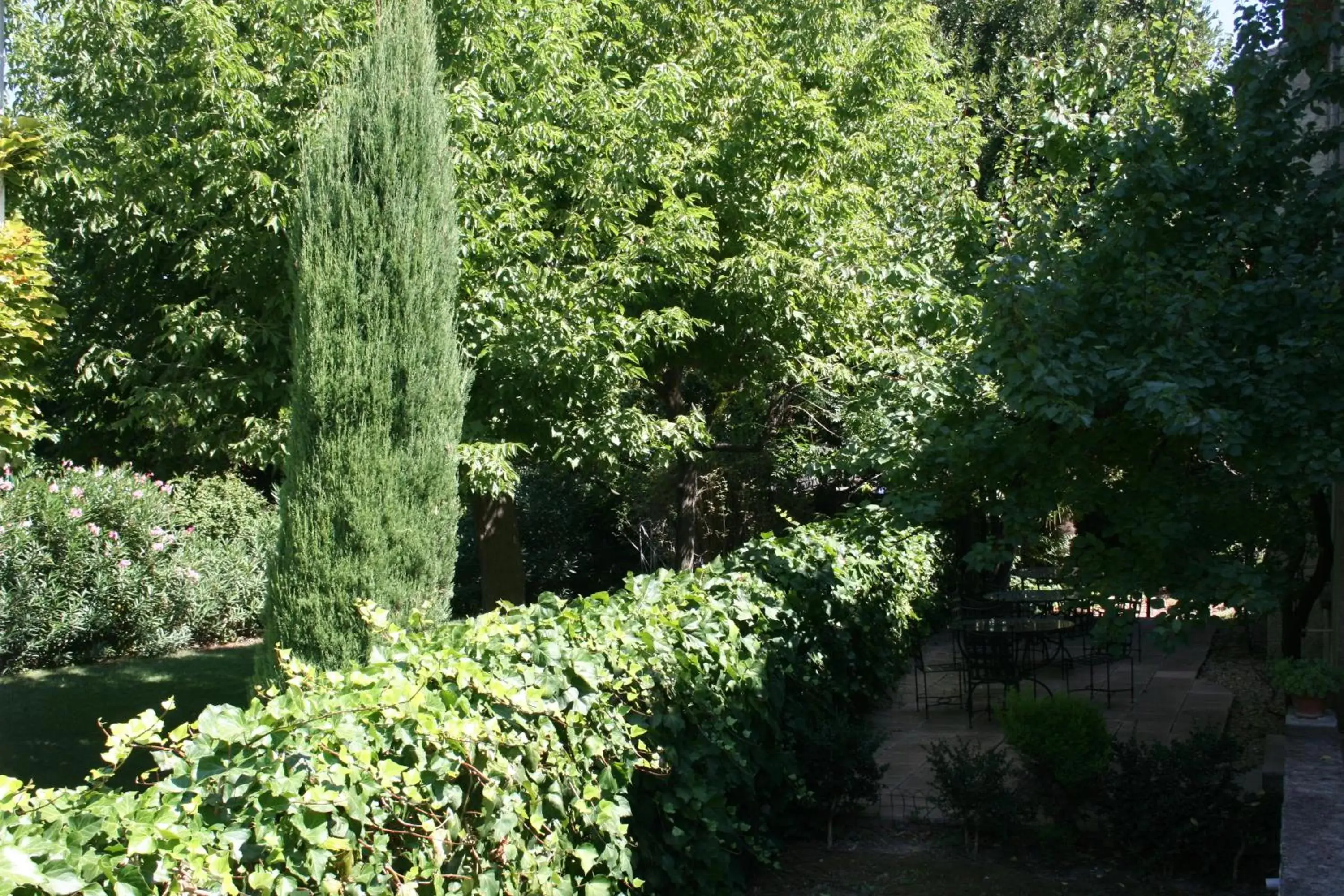 Garden in Hôtel Ulysse Montpellier Centre