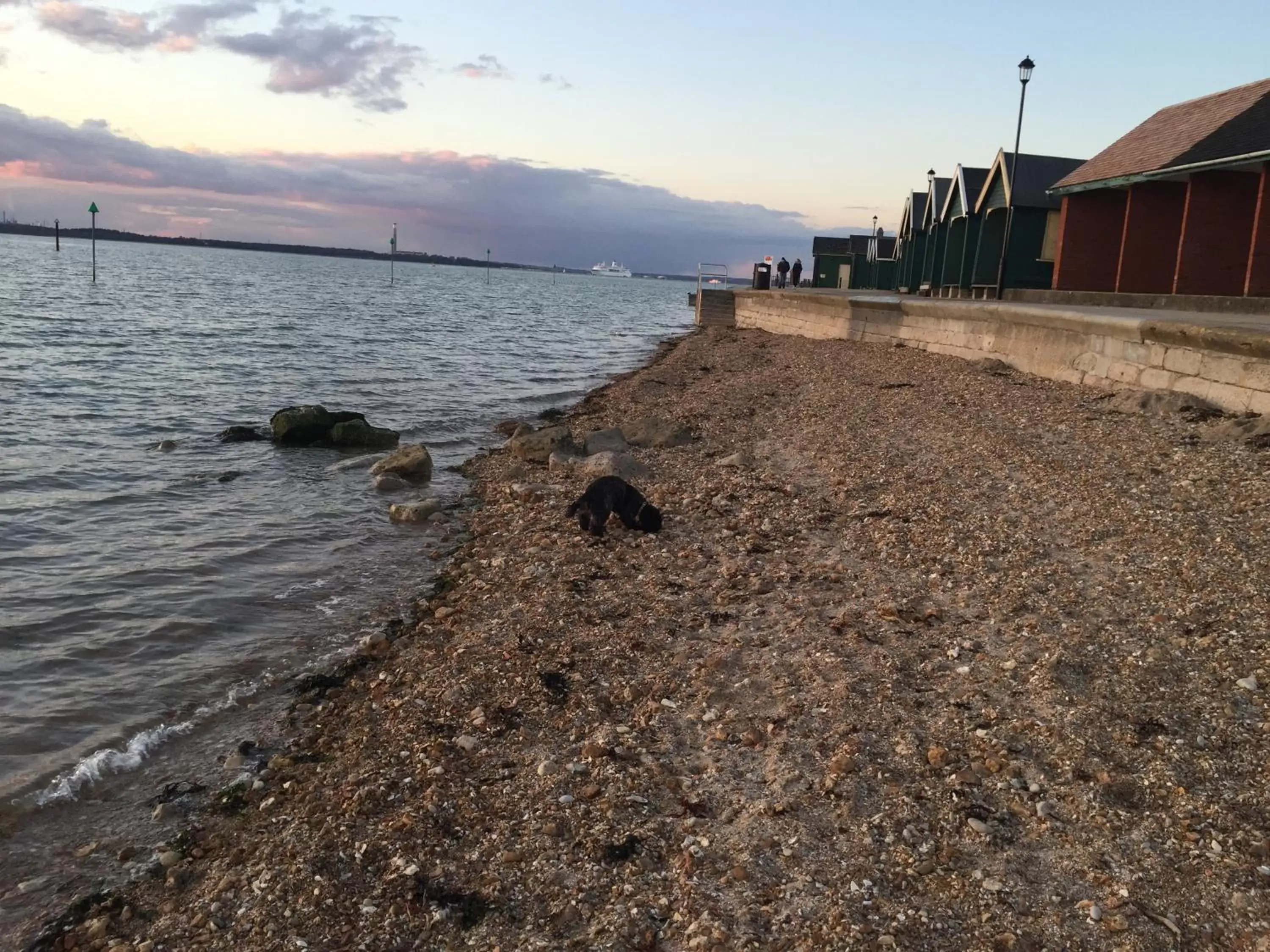 Beach in The Woodvale