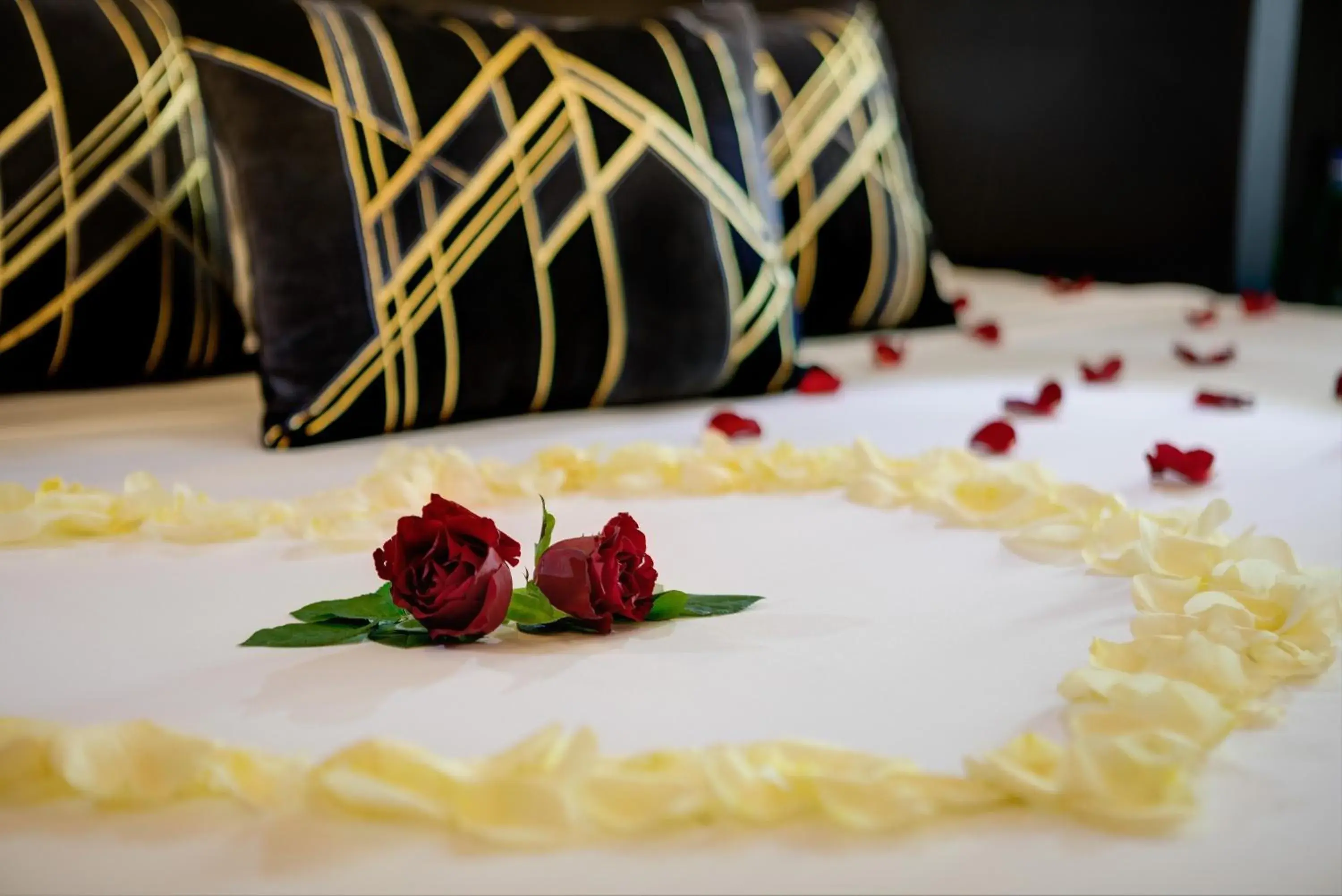 Bed in Dharma Boutique Hotel & SPA Bed in Dharma Boutique Hotel & SPA