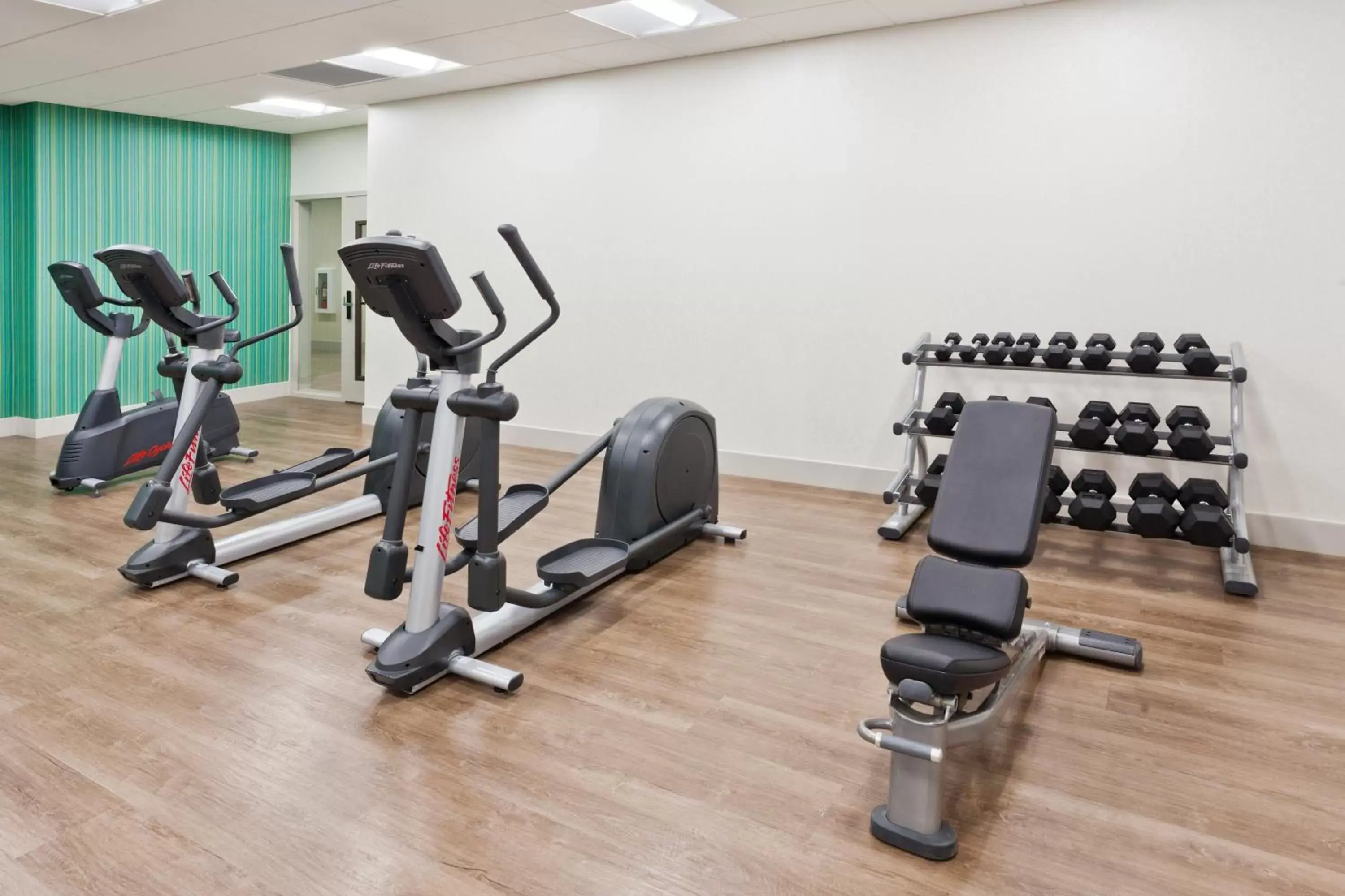 Spa and wellness centre/facilities, Fitness Center/Facilities in Holiday Inn Express & Suites - Cartersville, an IHG Hotel