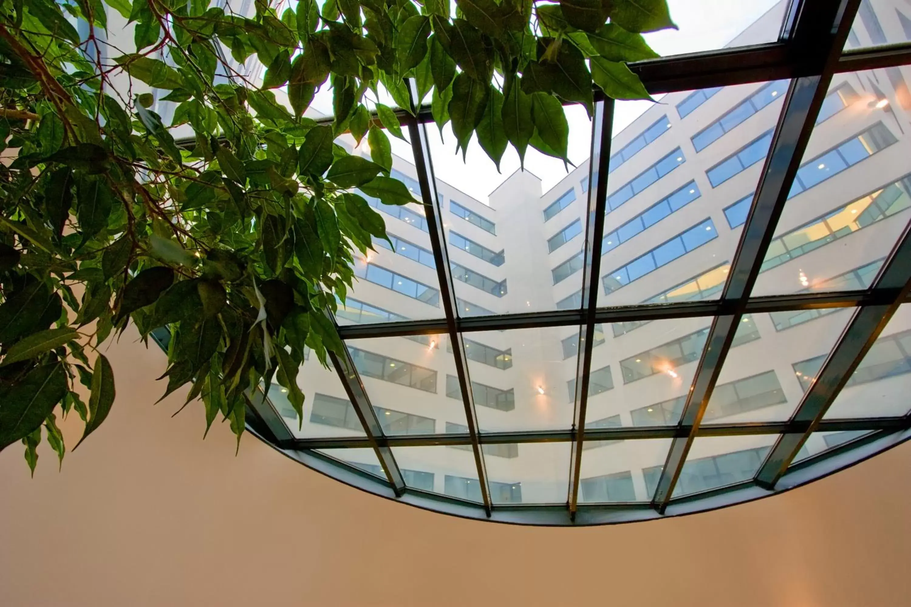 View (from property/room) in Vitosha Park Hotel - Free Indoor Pool & Parking View (from property/room) in Vitosha Park Hotel - Free Indoor Pool & Parking