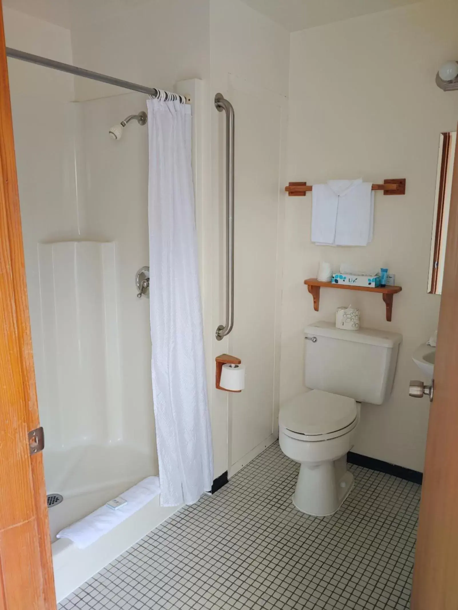 Shower, Bathroom in The Dublin House Motel