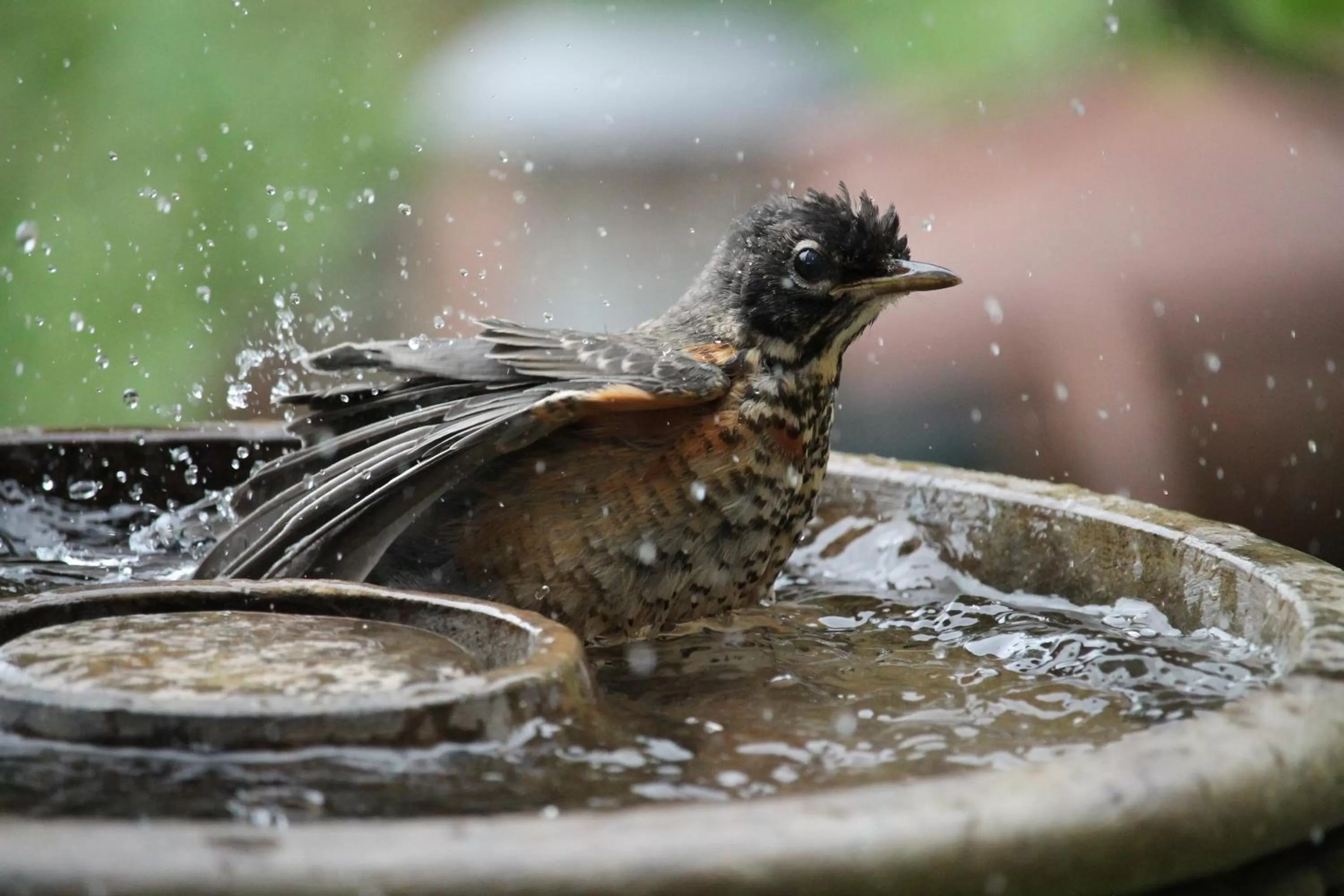 A Suite Retreat - Beyond Bed & Breakfast