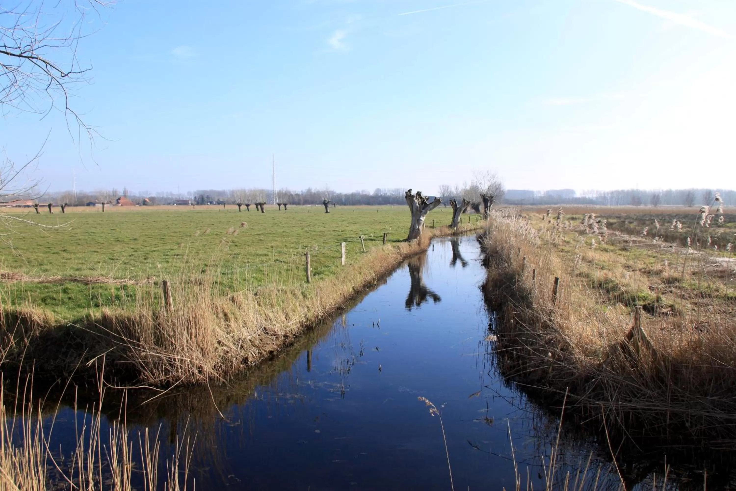 Natural landscape in Studio Art-hill