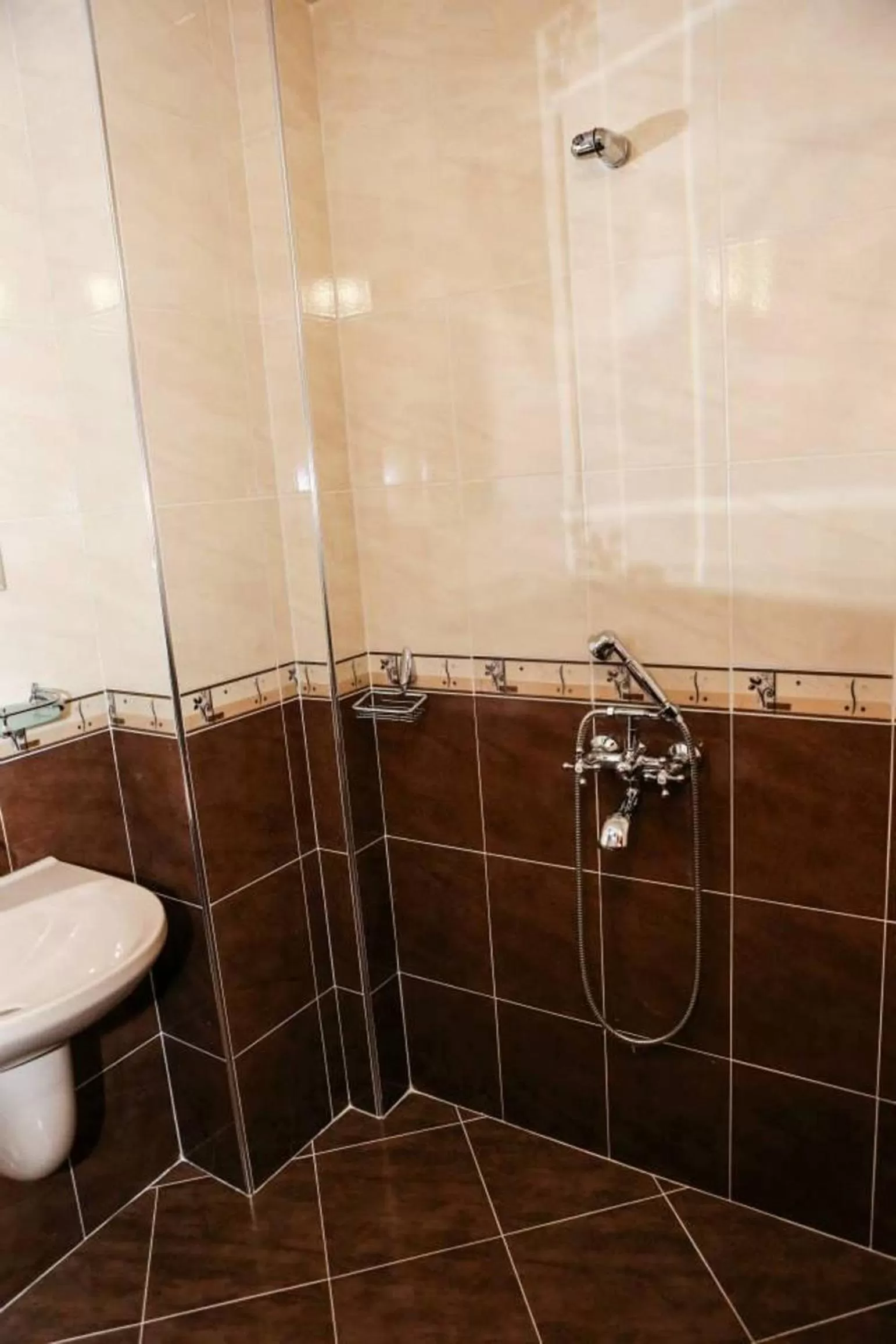 Bathroom in Delchovski Han