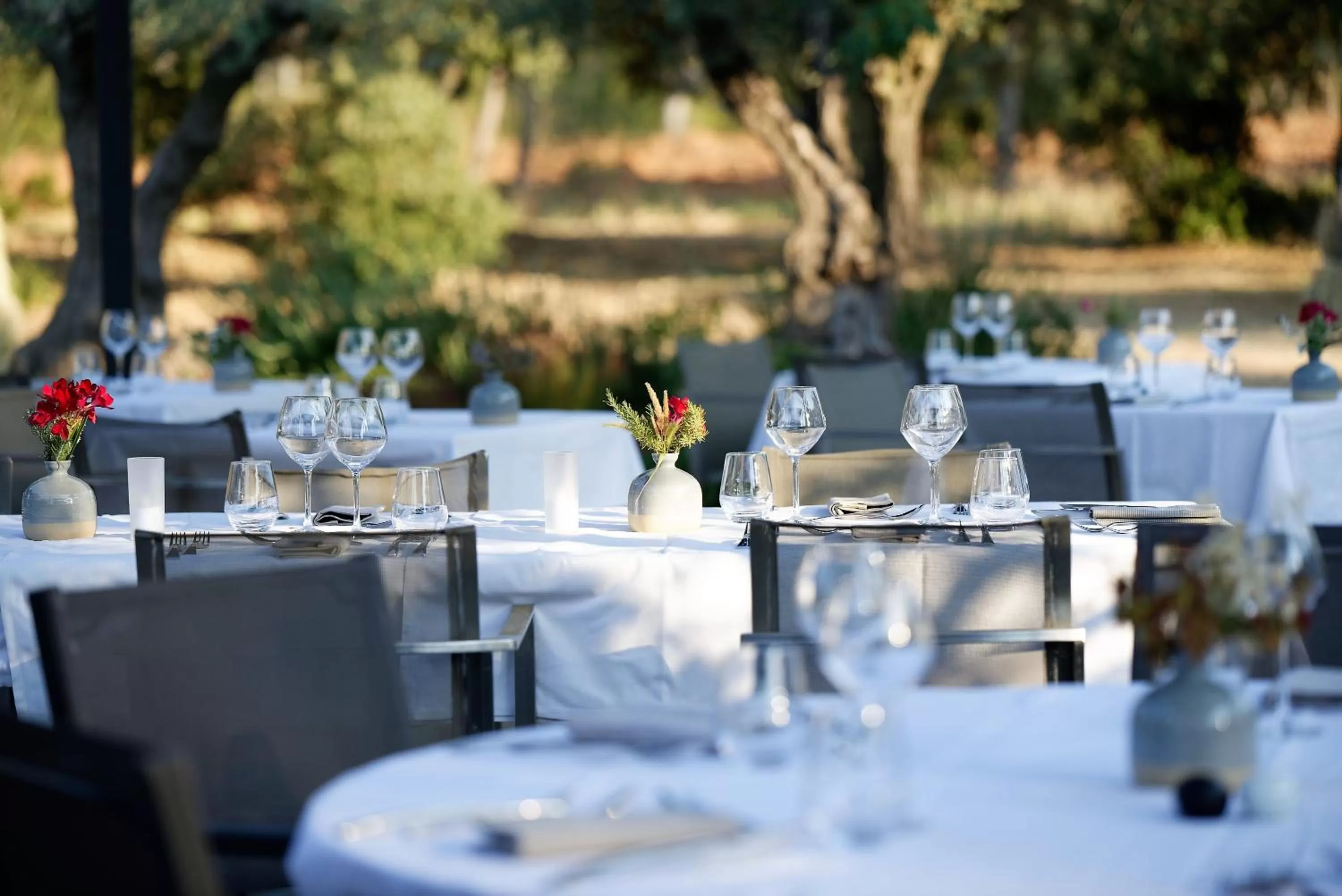 Restaurant/places to eat in Domaine la Pierre Blanche