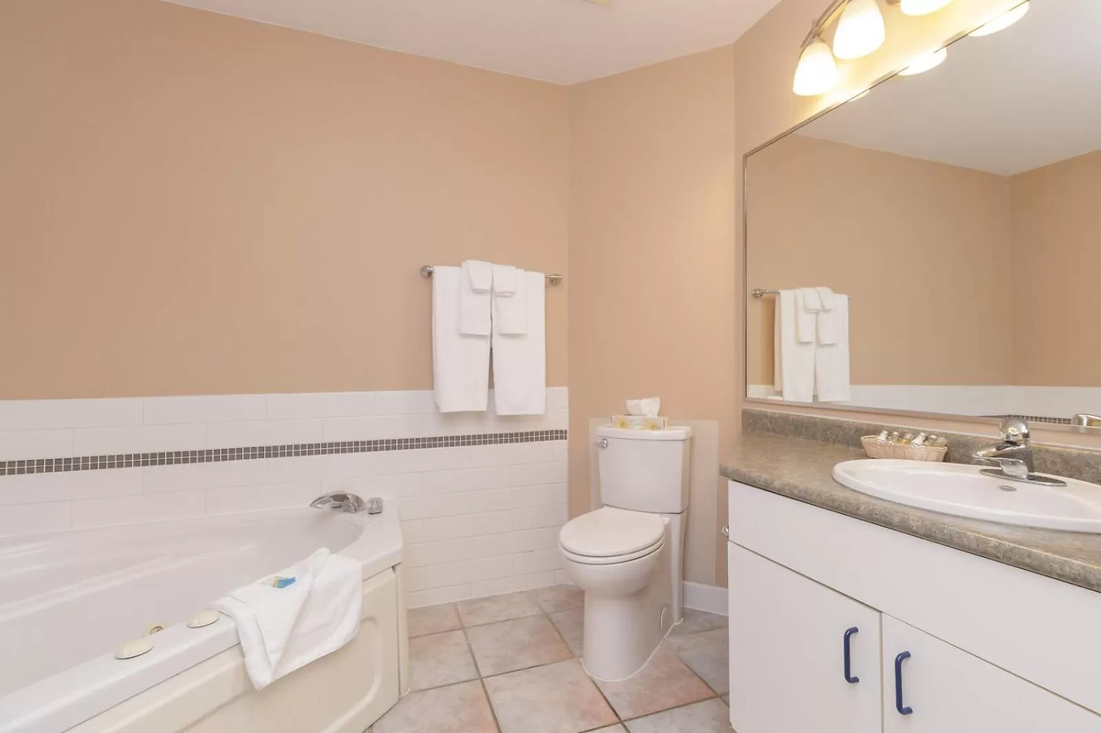 Bath, Bathroom in The Cedarwood Inn & Suites