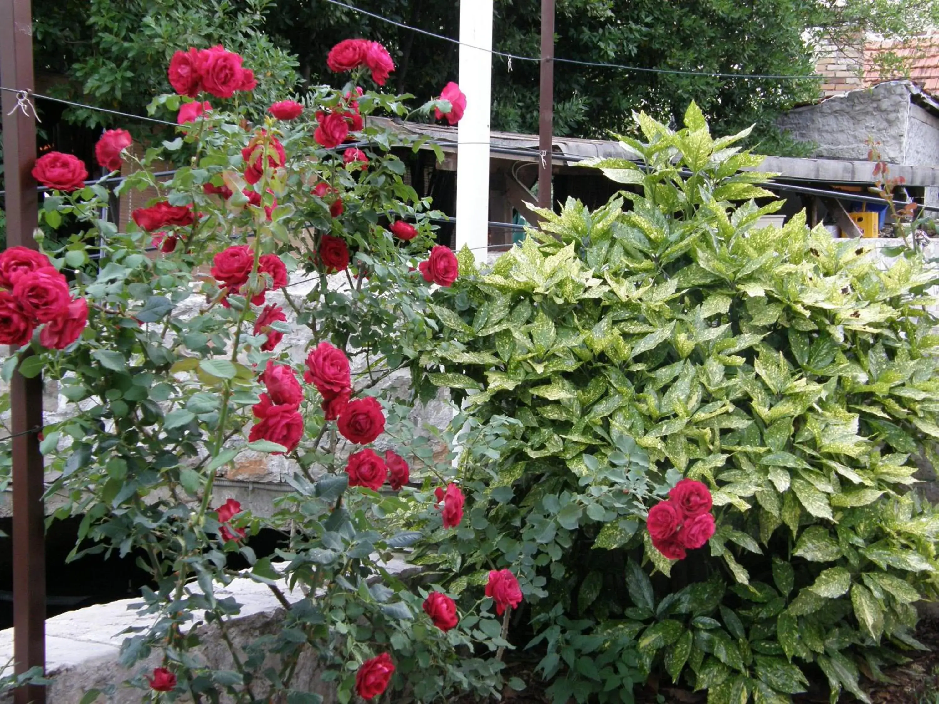 Garden in Boutique Hotel Old Town Mostar