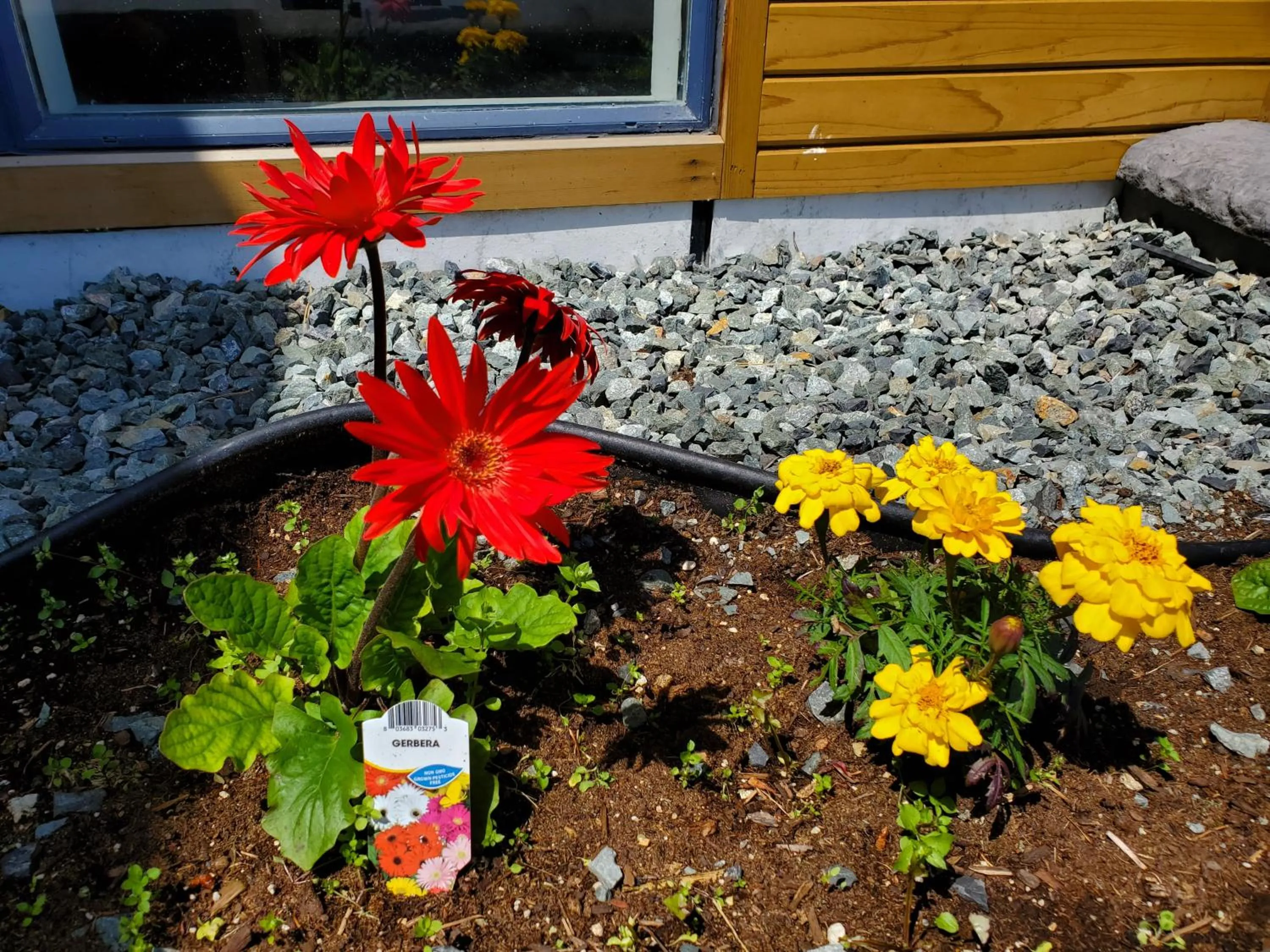 Facade/entrance in Alpine Inn Abbotsford