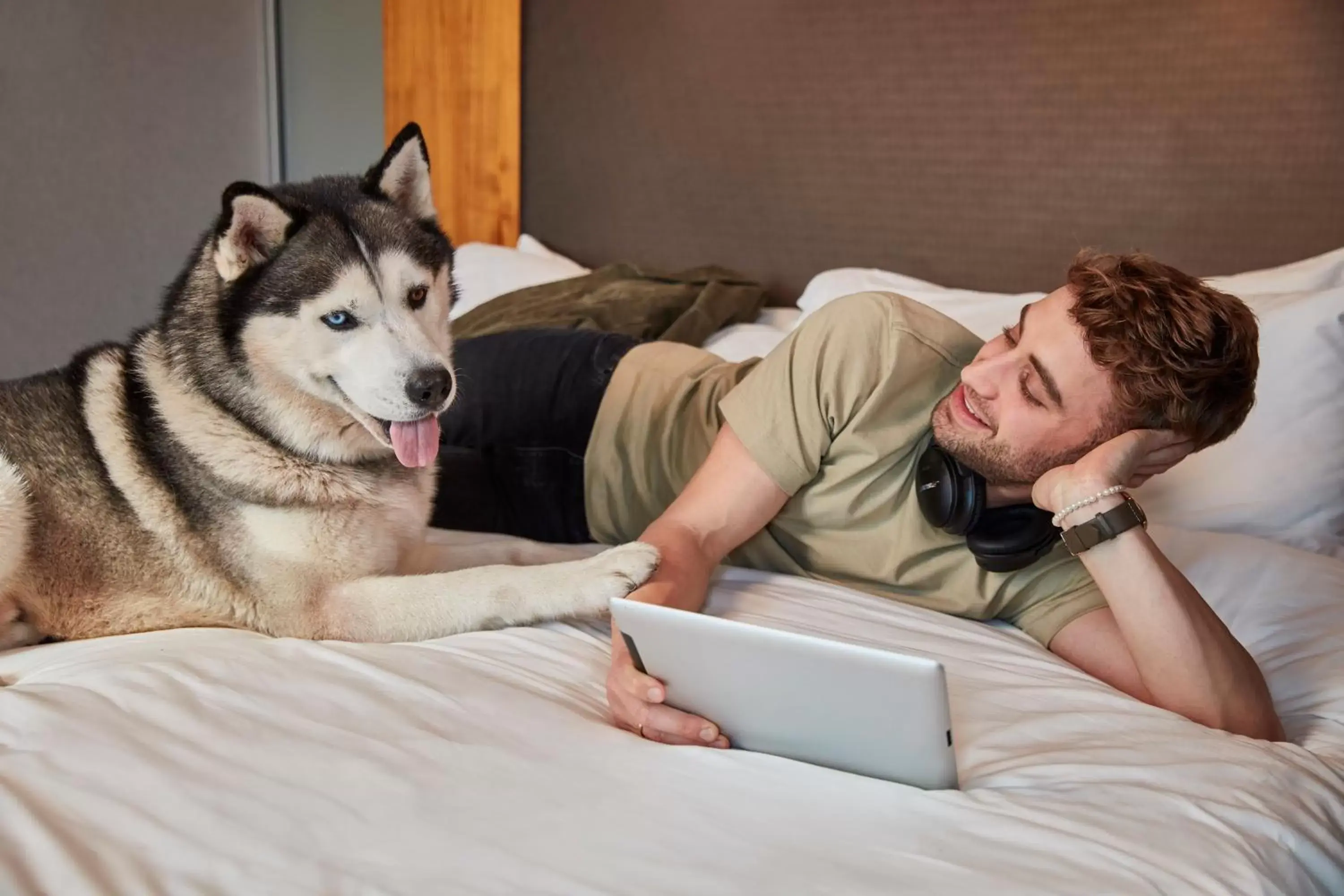 Pets in Aloft Raleigh