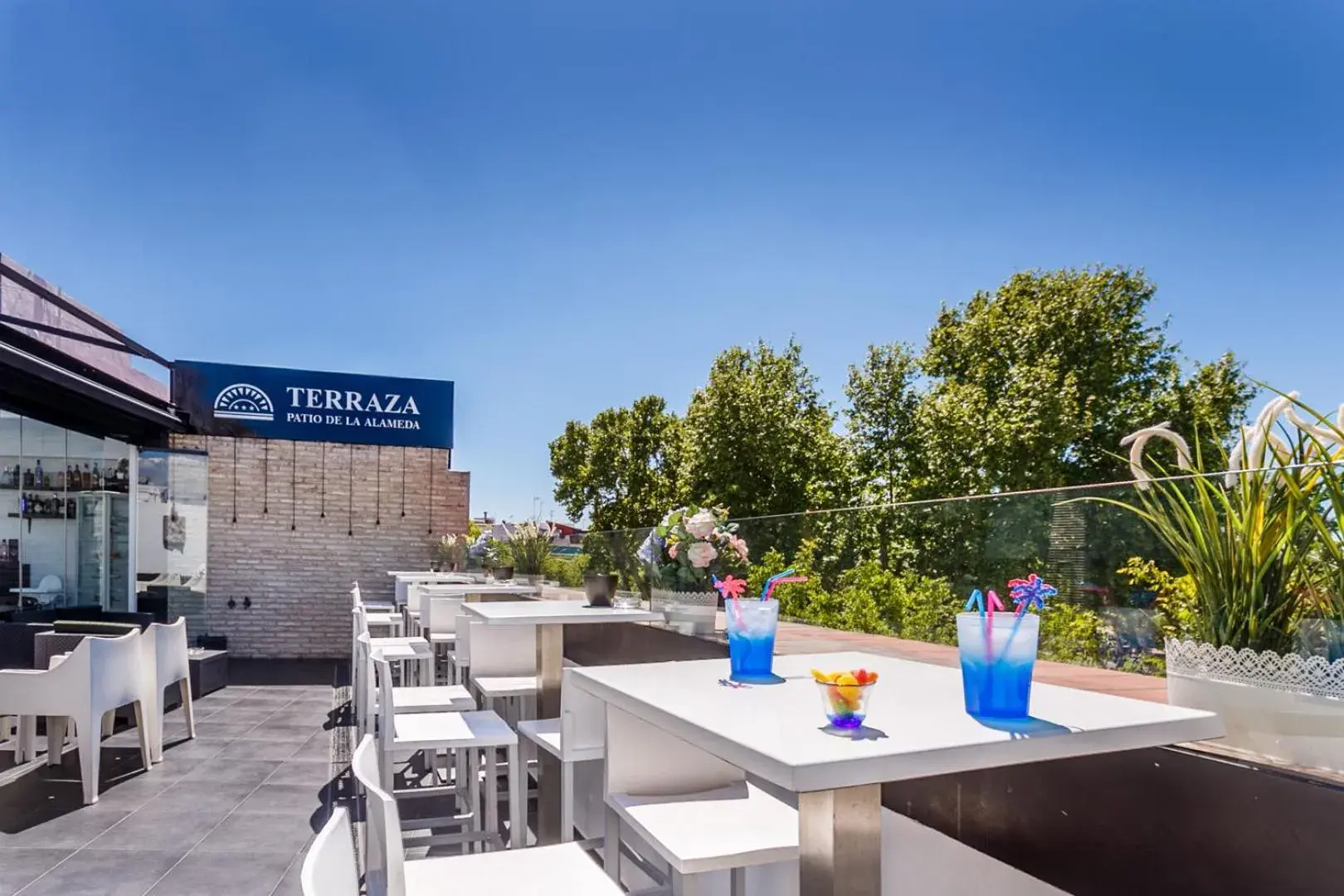 Breakfast in Patio de La Alameda