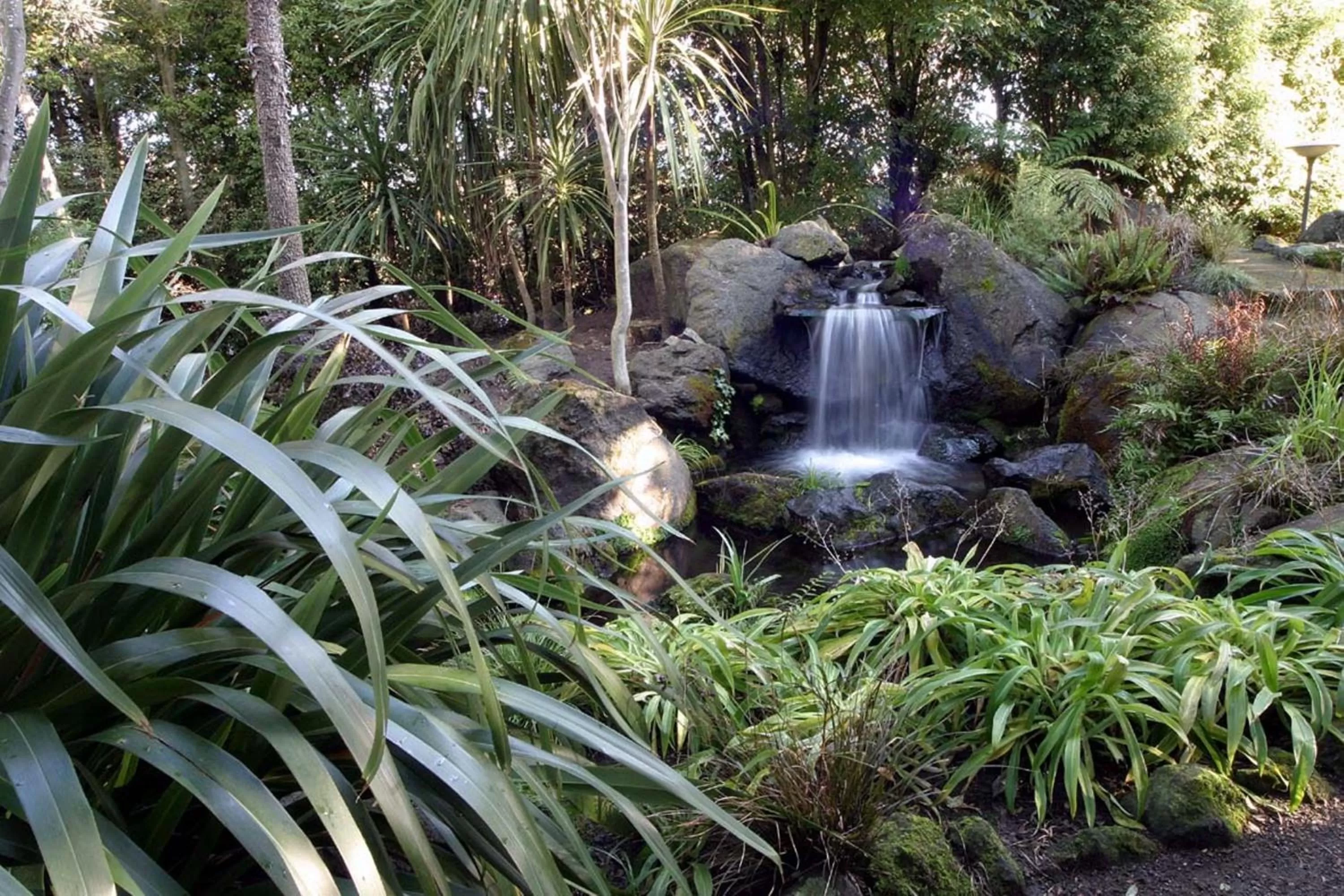 Garden in Commodore Airport Hotel Christchurch