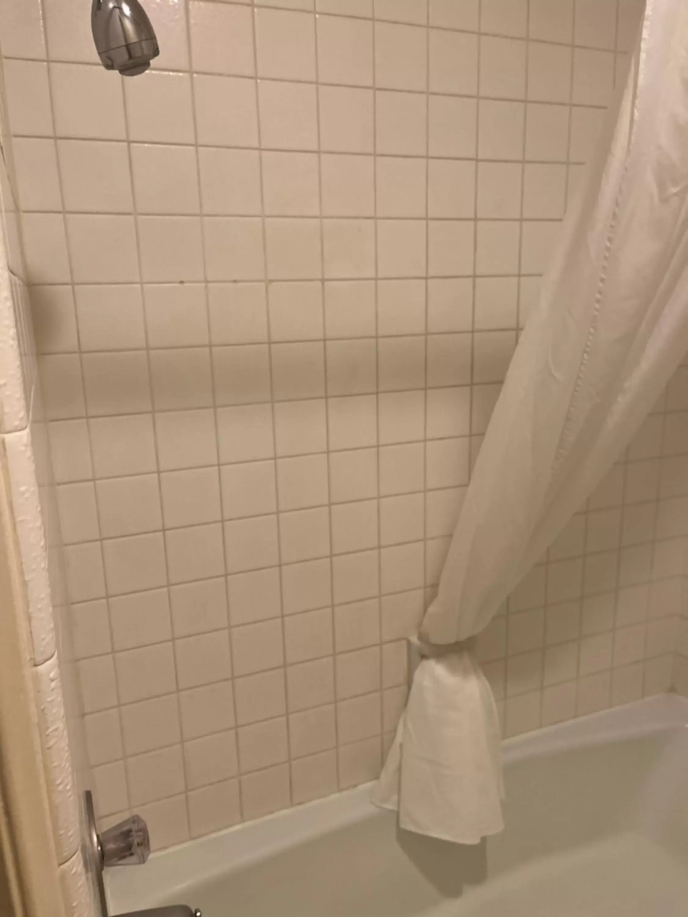 Shower, Bathroom in Western Inn Lakewood