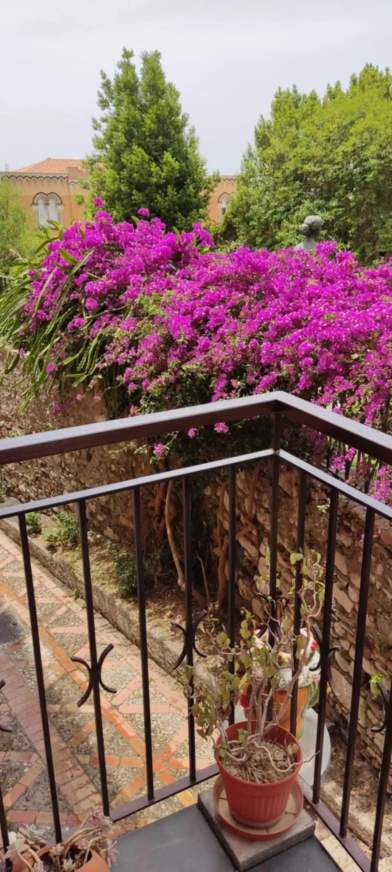 Balcony/Terrace in B&B AKROPOLIS