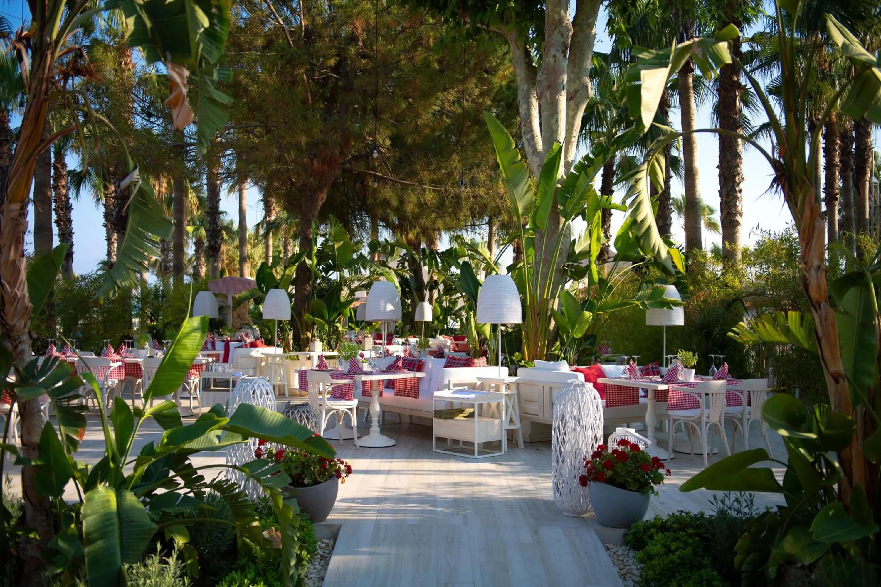 Garden in Miramare Beach Hotel - Ultra All Inclusive