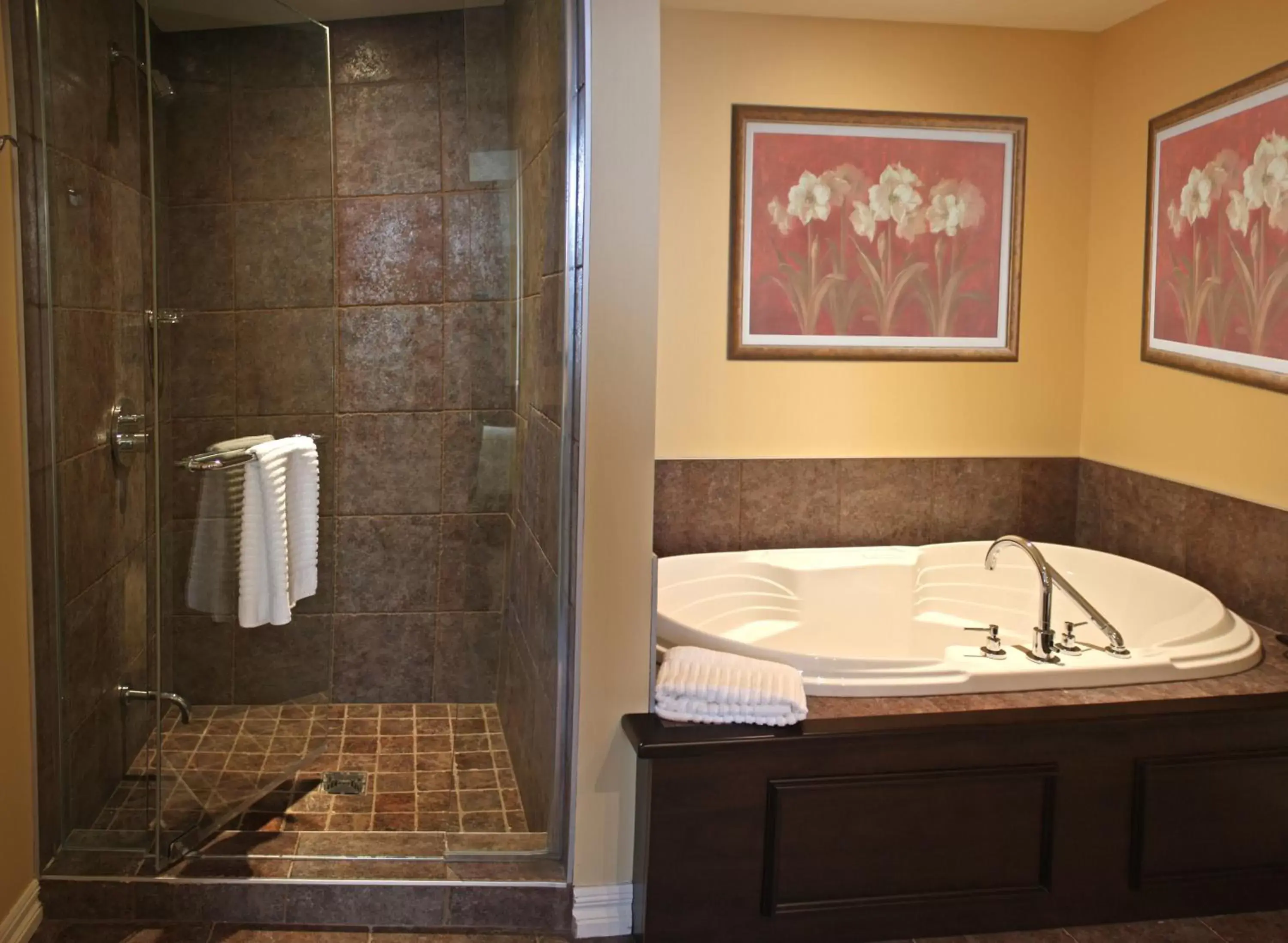 Bathroom in Hotel Vallea Bromont