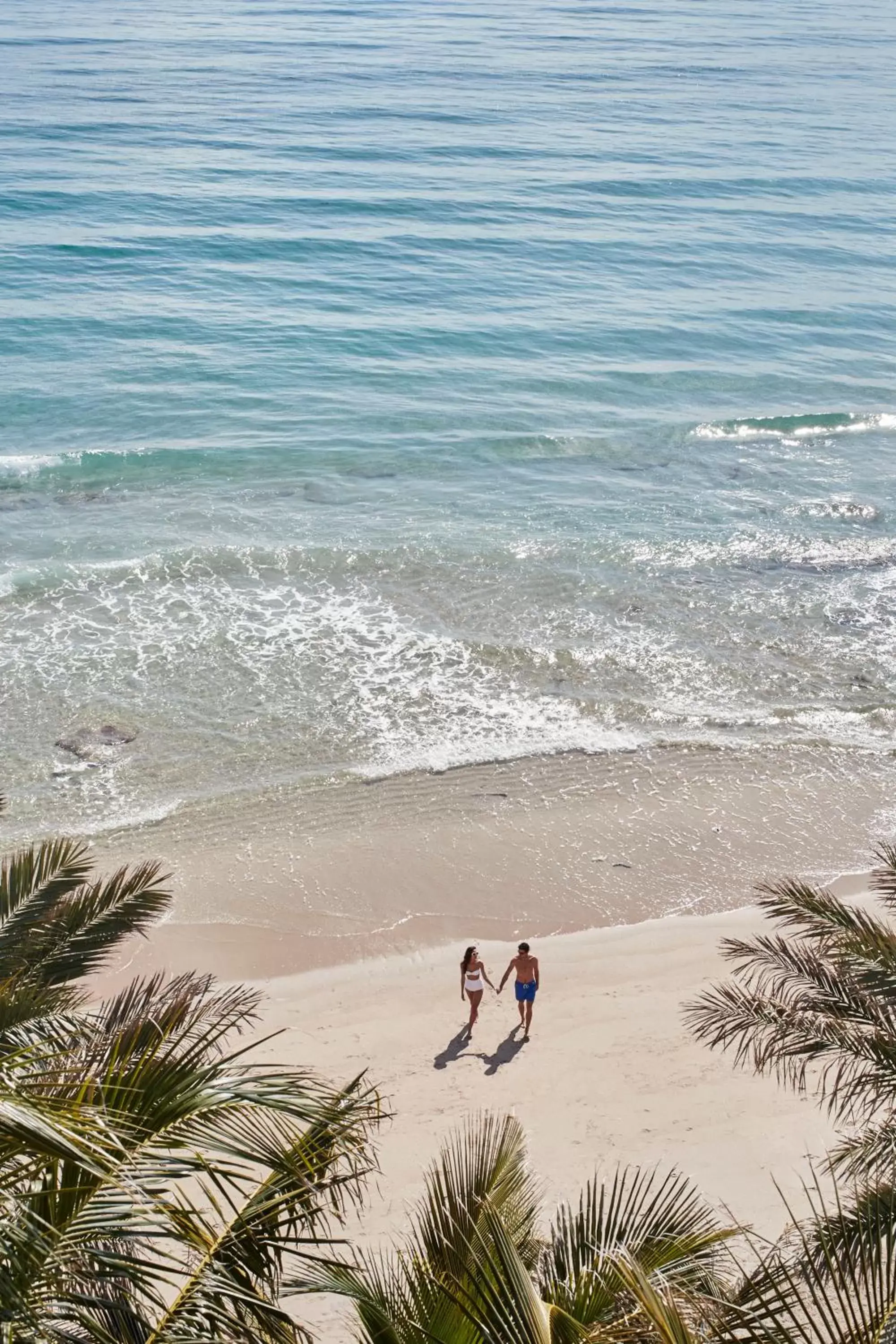 Beach in Eau Palm Beach Resort & Spa