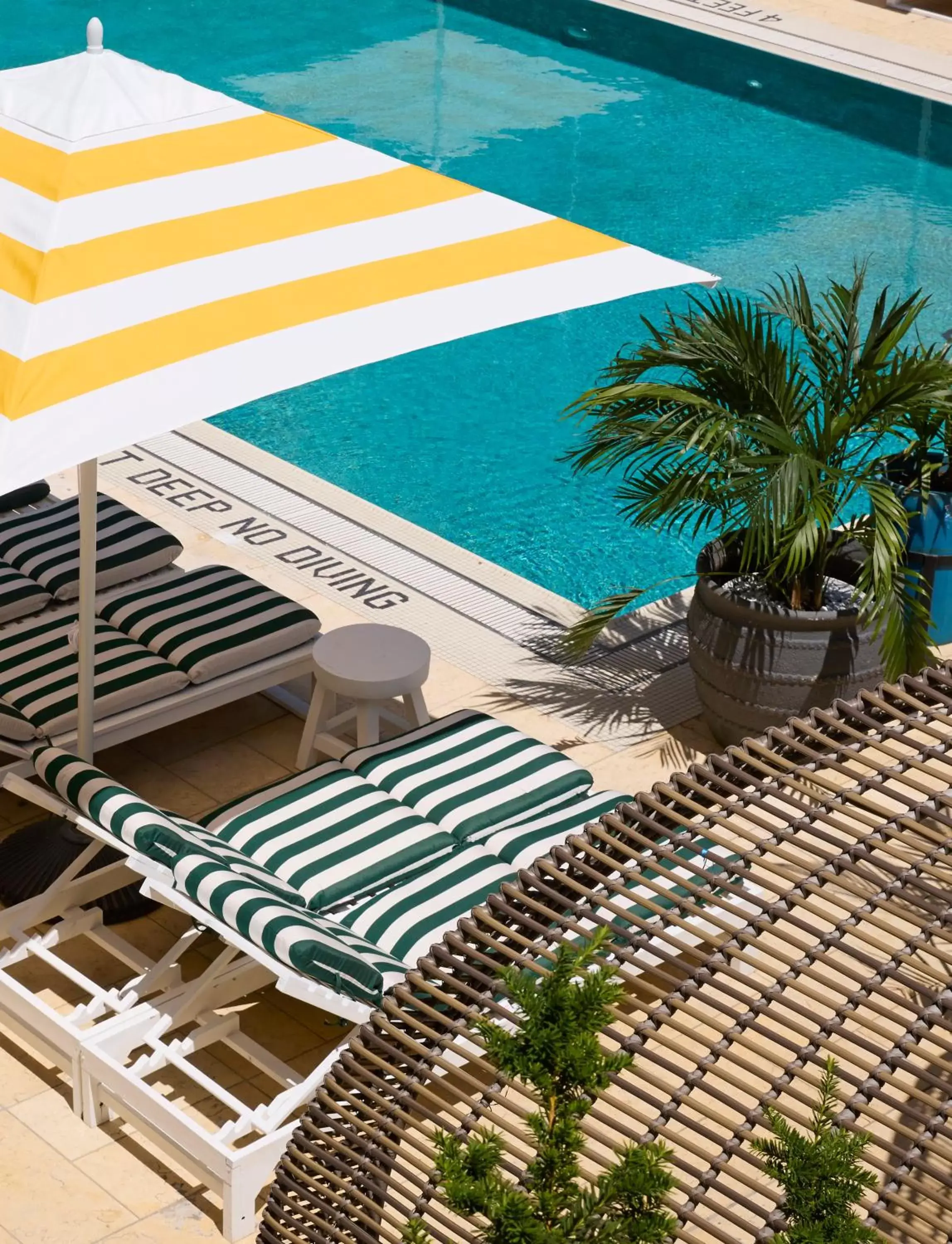 Swimming pool in CODA Williamsburg Swimming pool in CODA Williamsburg