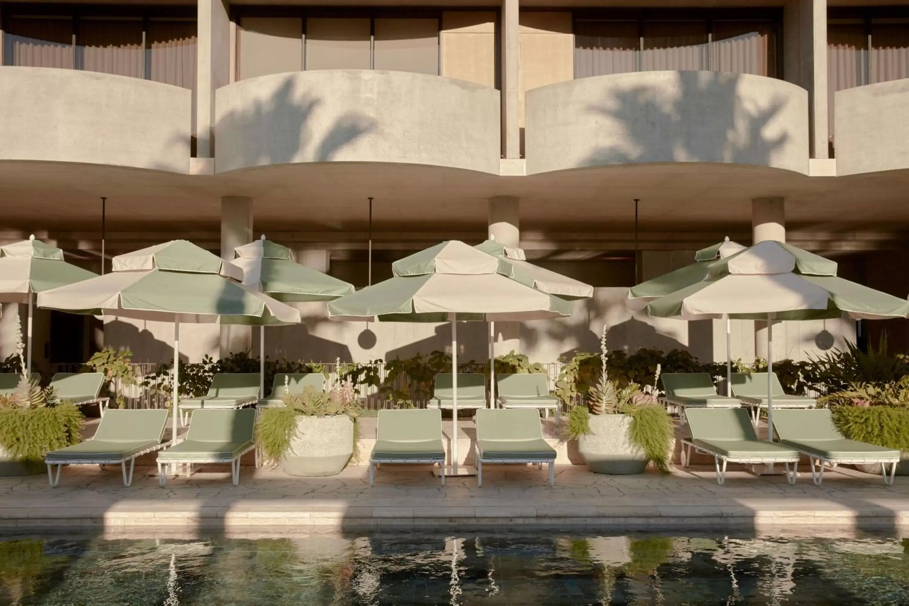 The Calile Hotel The Calile Hotel