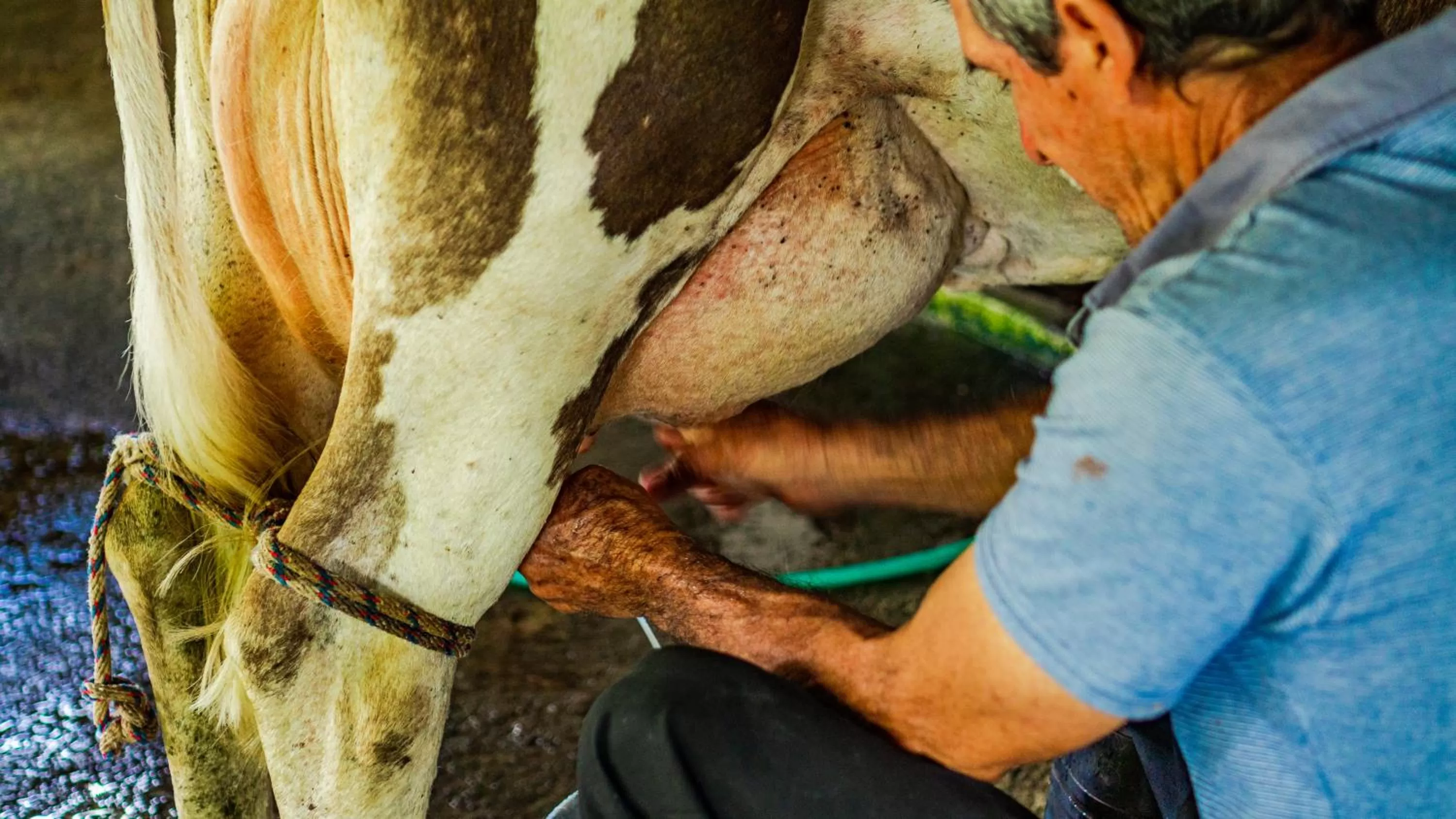 Property building in Agutipaca Bungalows