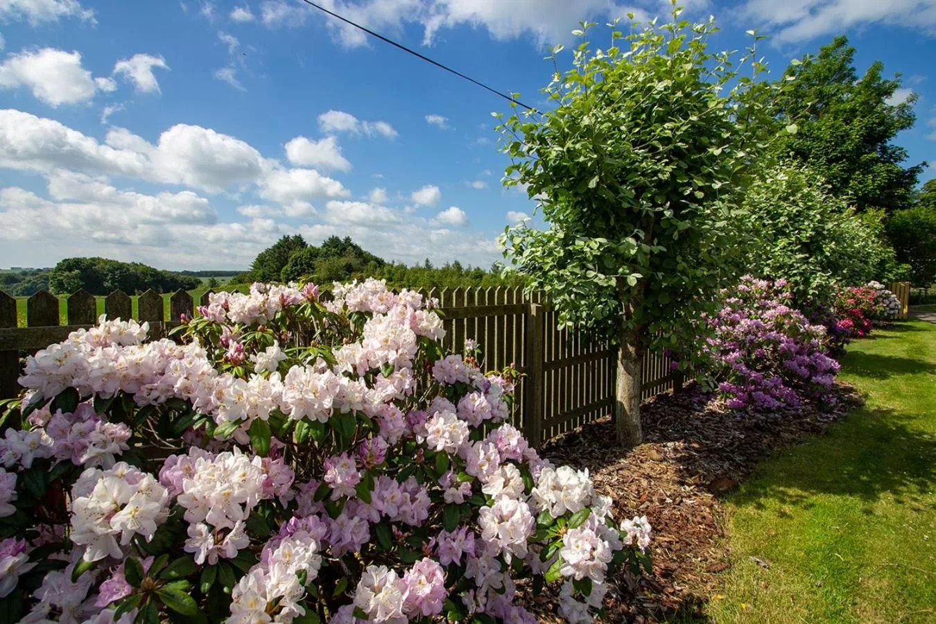 Garden in Home Farm B&B - Sunflower Room