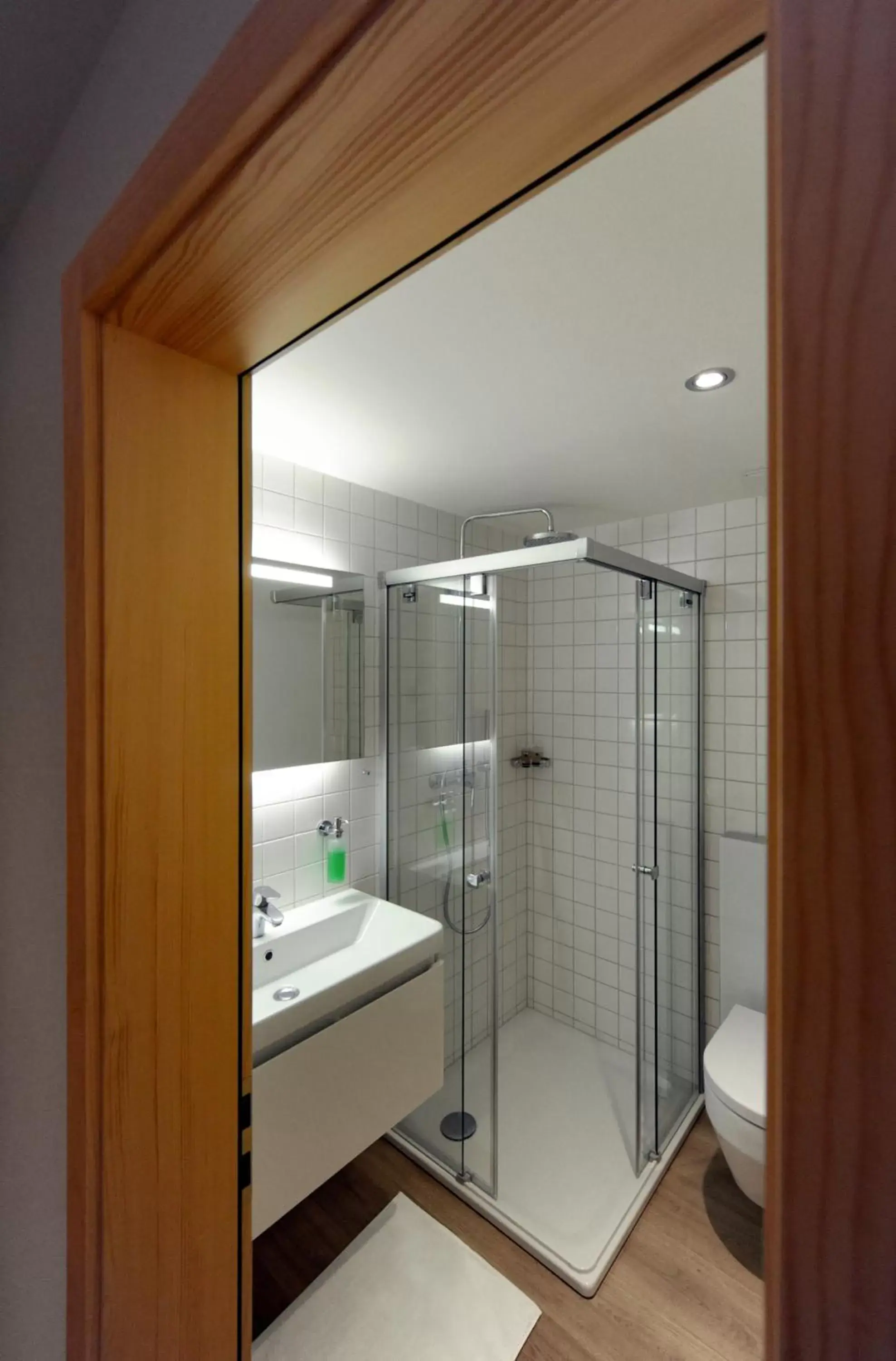 Shower, Bathroom in Hotel Sternen