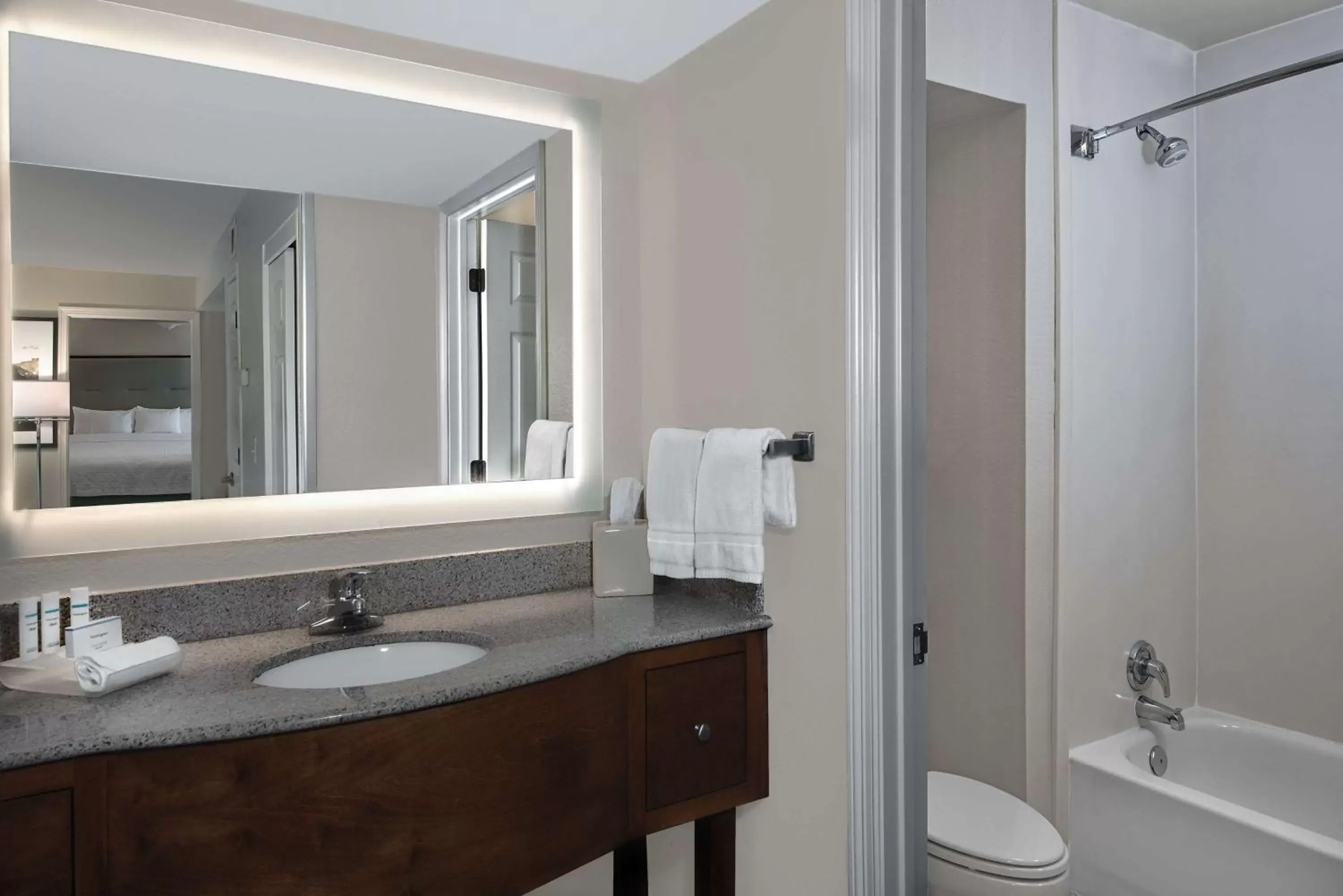 Bathroom in Homewood Suites by Hilton Houston-Clear Lake