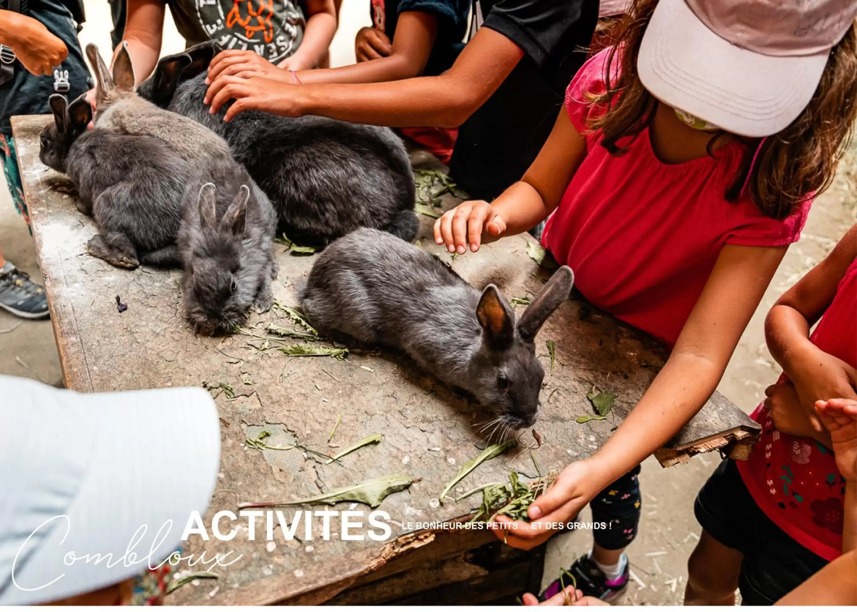 Activities, Other Animals in Chalet Alpen Valley, Mont-Blanc