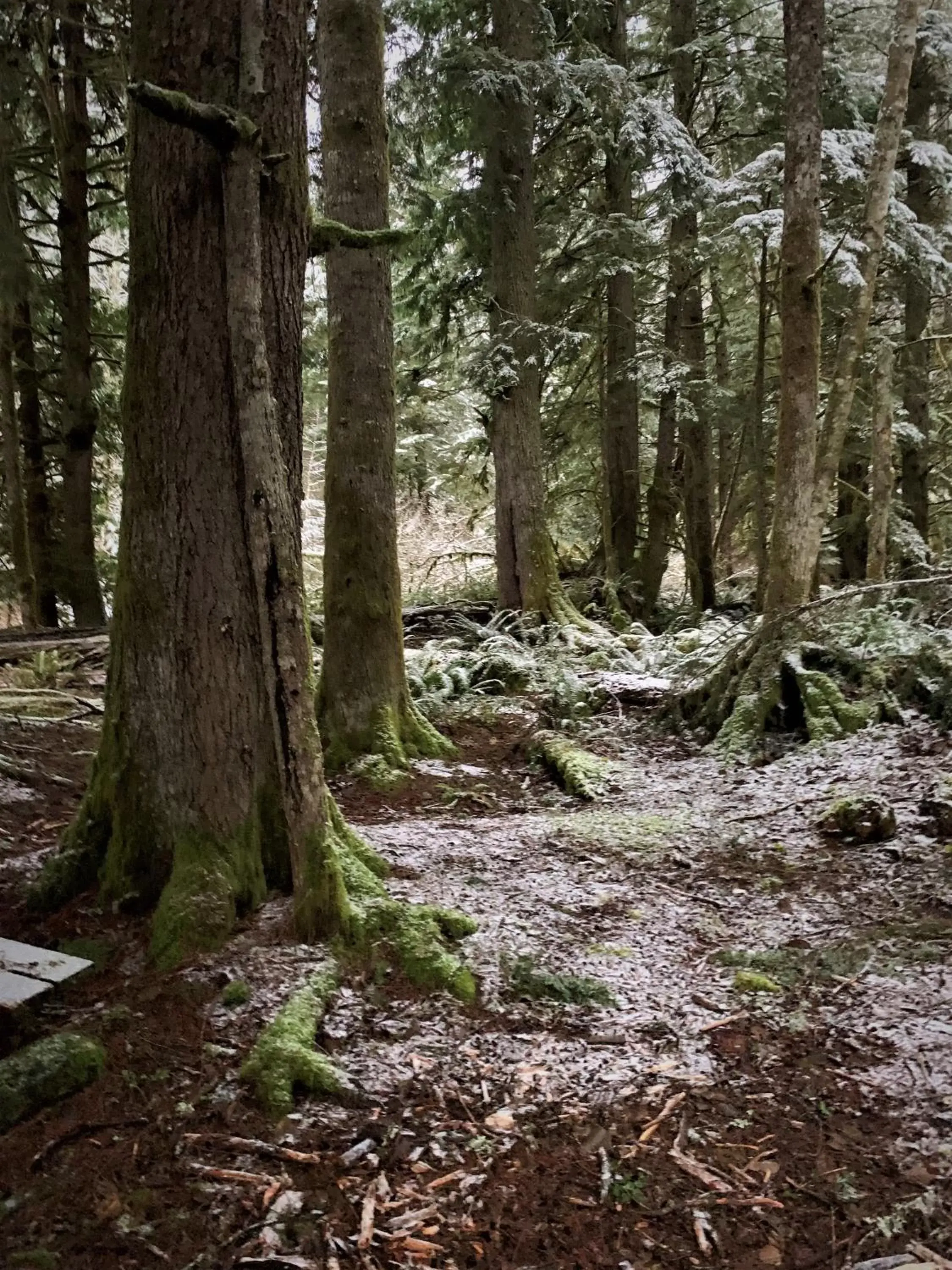 Natural Landscape in Alexander's Lodge