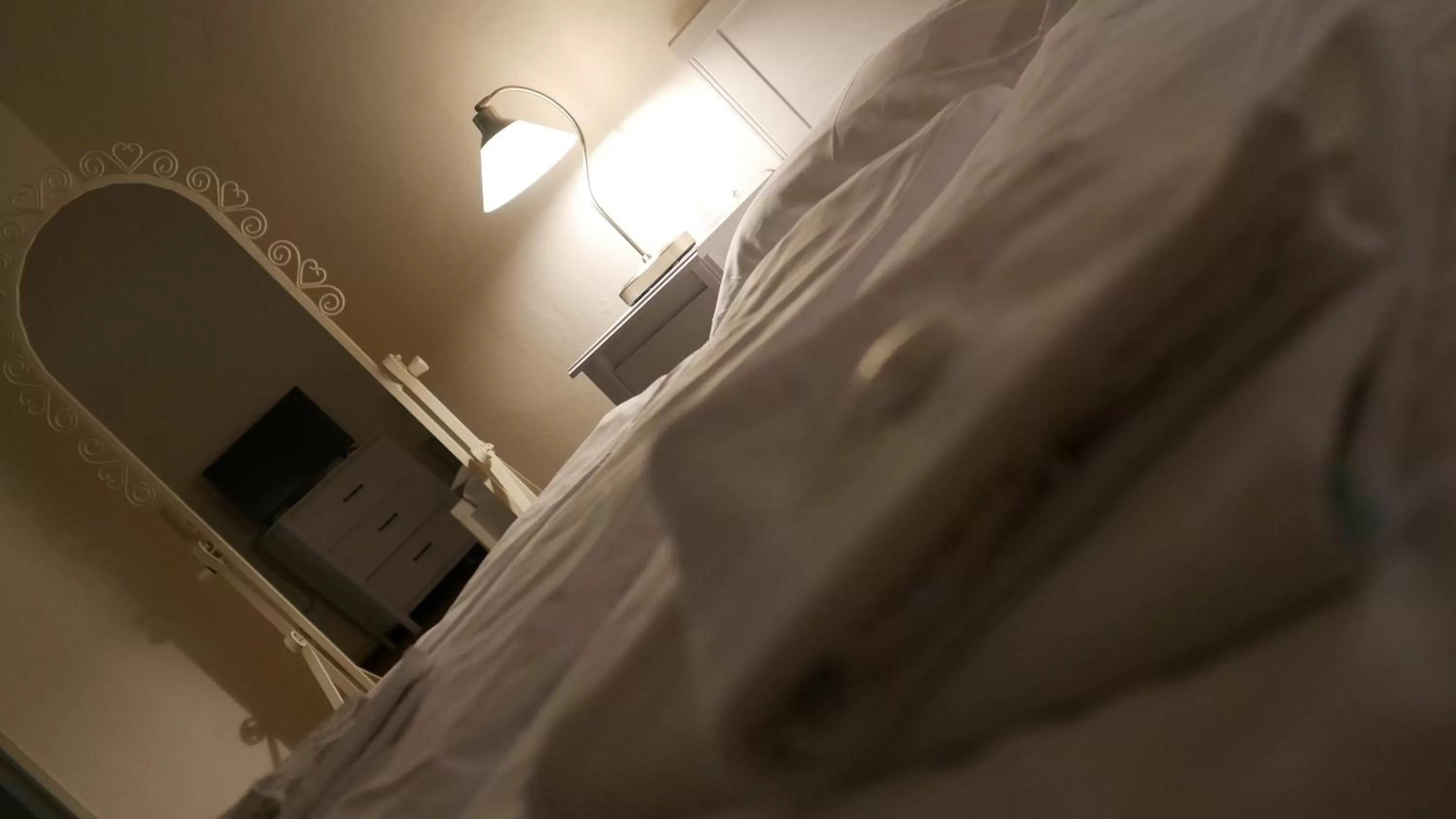 Bed in Hotel Bílý Koníček