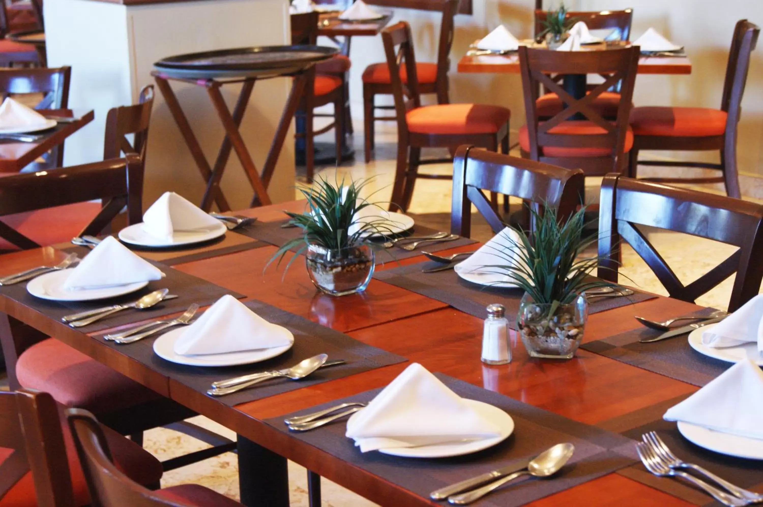 Restaurant/places to eat in Best Western PLUS Los Mochis Restaurant/places to eat in Best Western PLUS Los Mochis