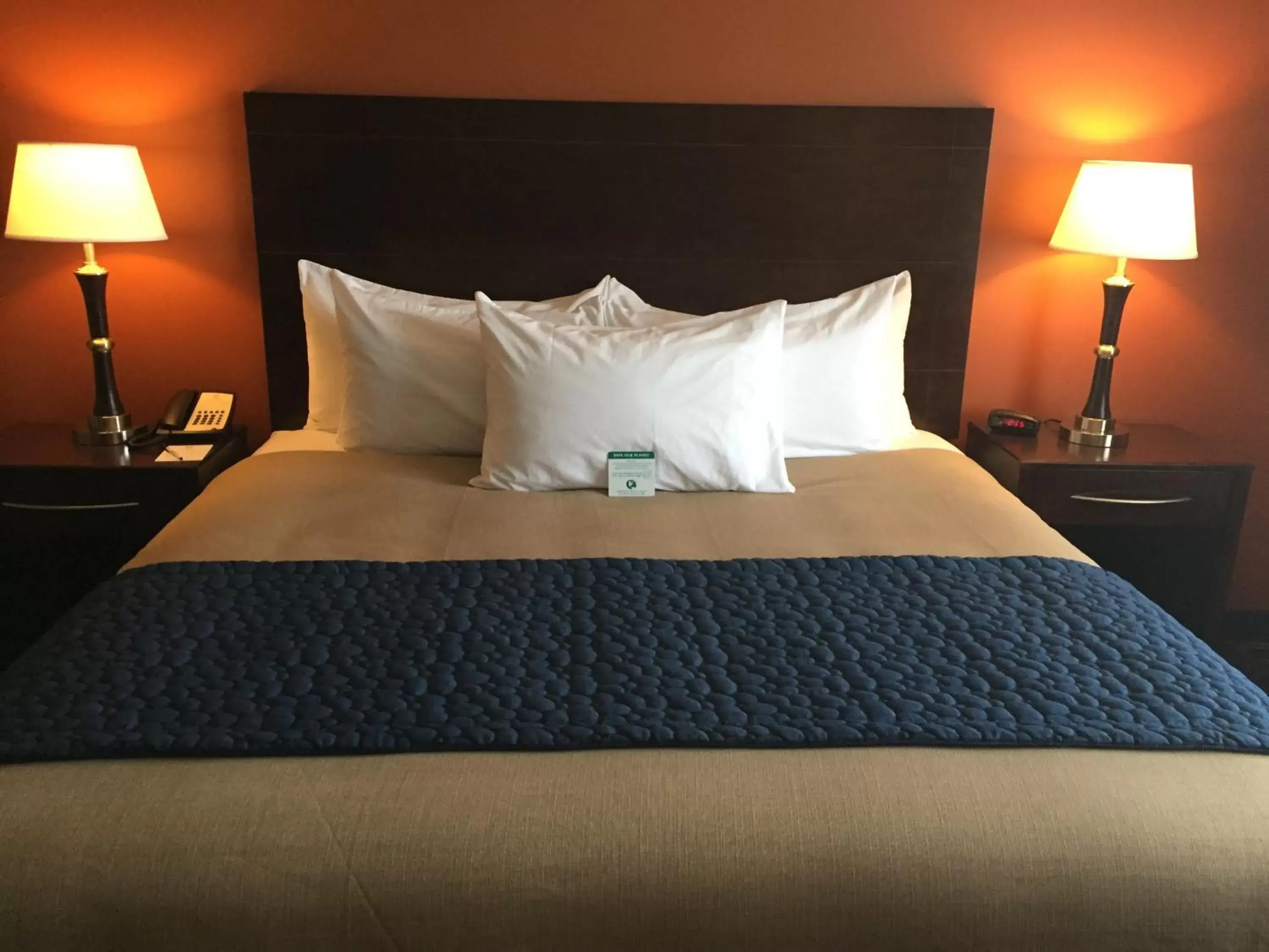 Bedroom, Bed in Grandstay Hotel & Suites Mount Horeb - Madison