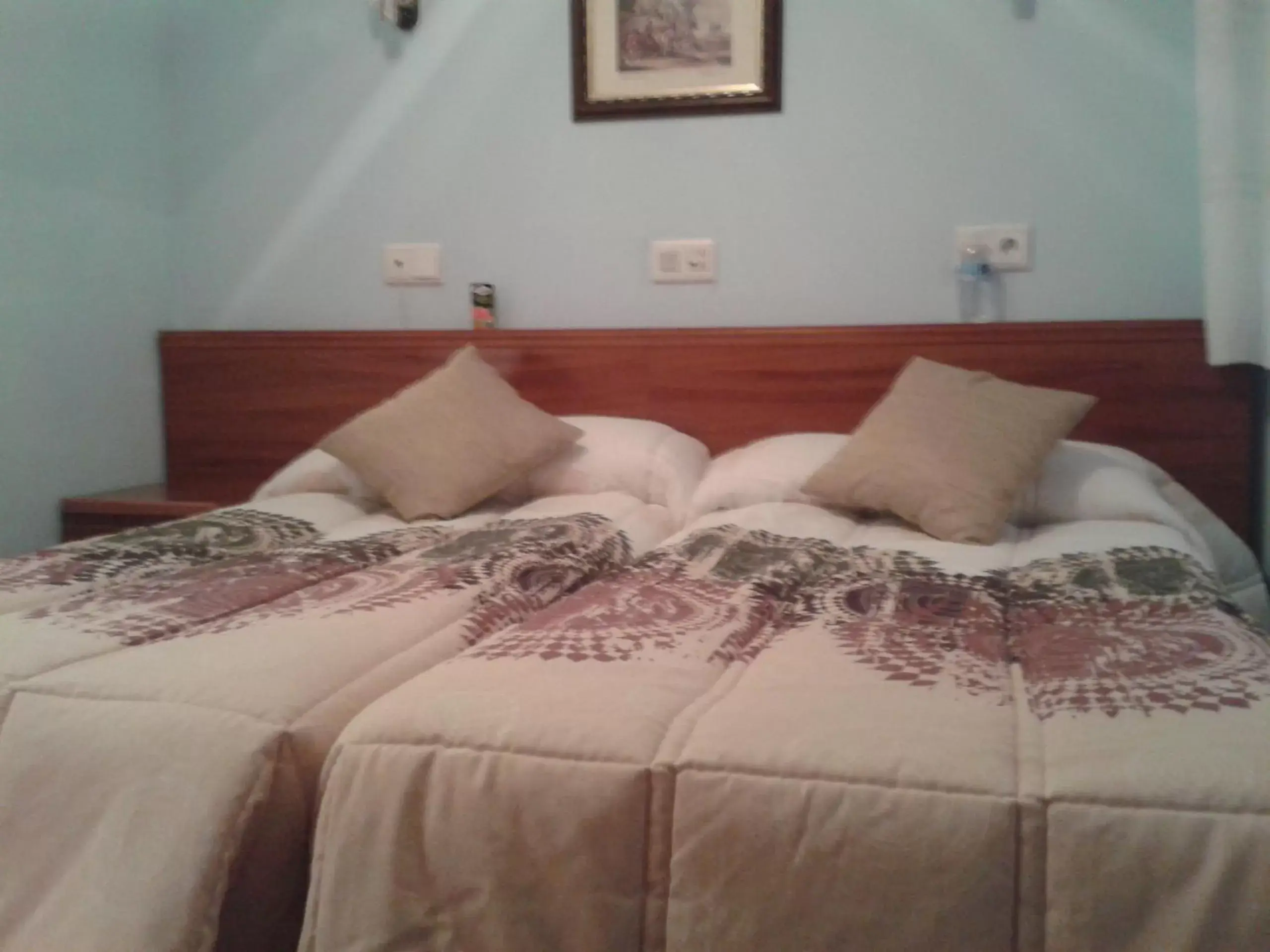 Bed in Hostal Campus