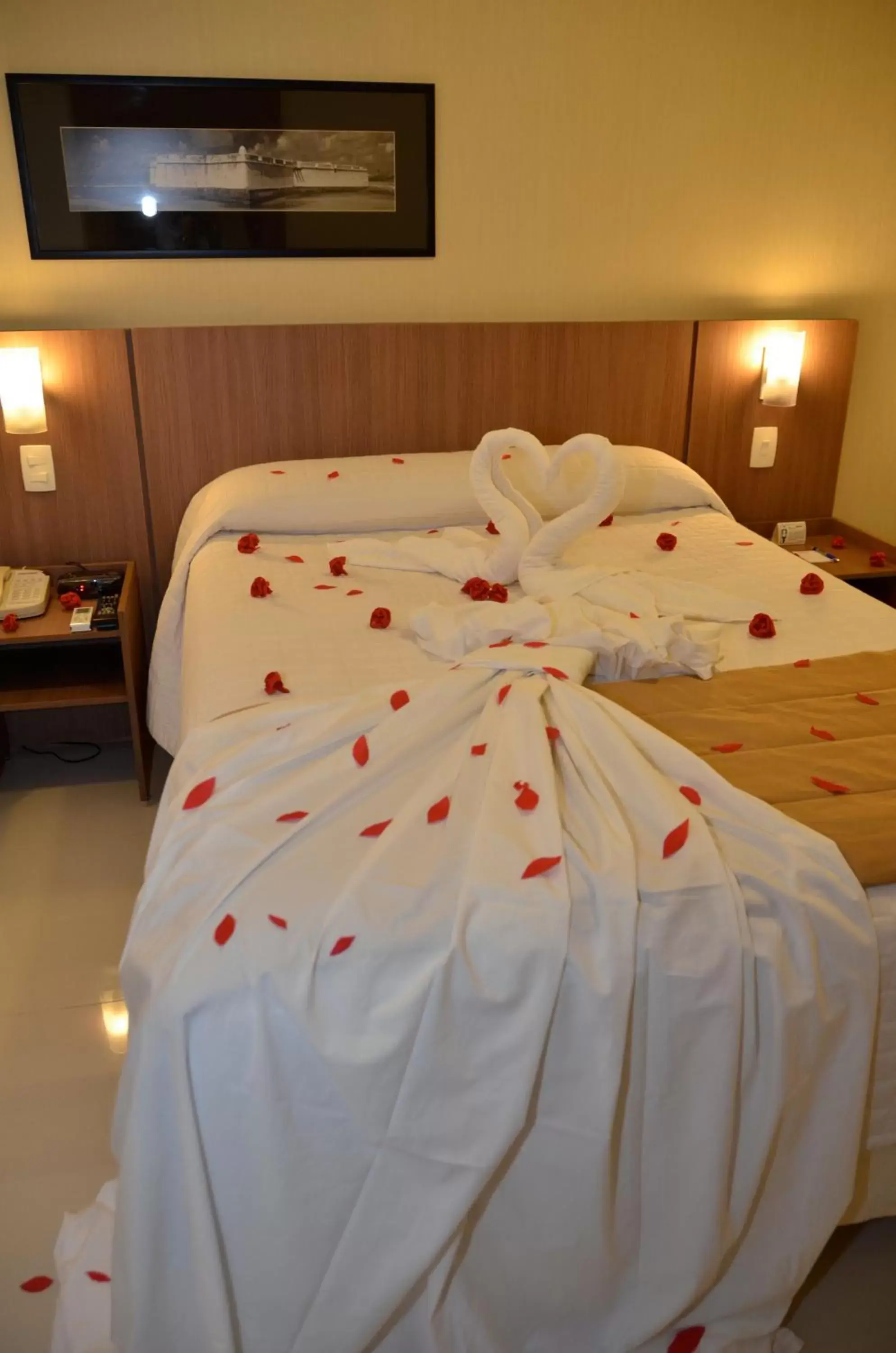 Photo of the whole room, Bed in Arituba Park Hotel