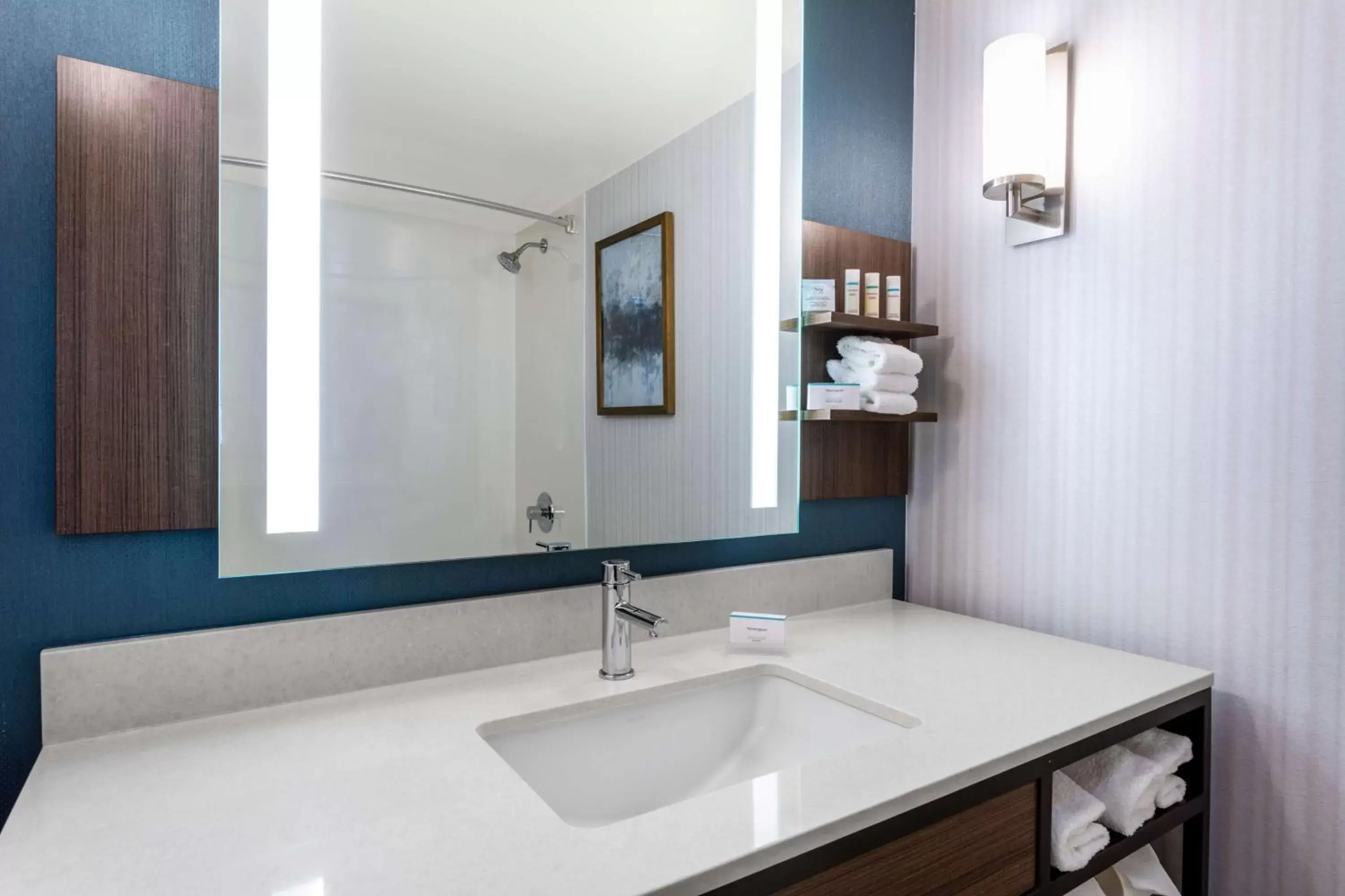 Bathroom in Hilton Garden Inn Islip/MacArthur Airport