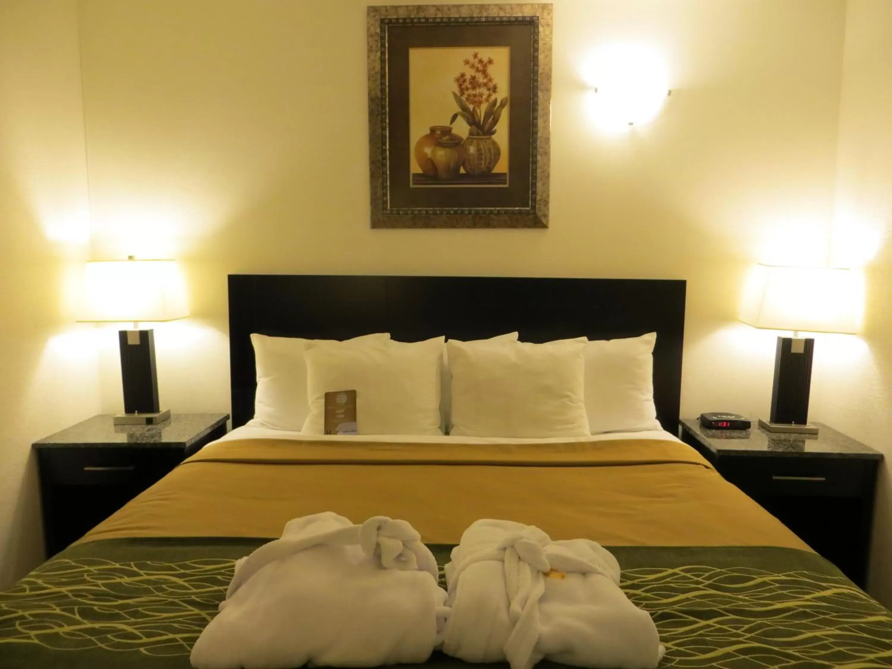 King Jacuzzi Suite - Non-Smoking in Comfort Inn & Suites King Jacuzzi Suite - Non-Smoking in Comfort Inn & Suites