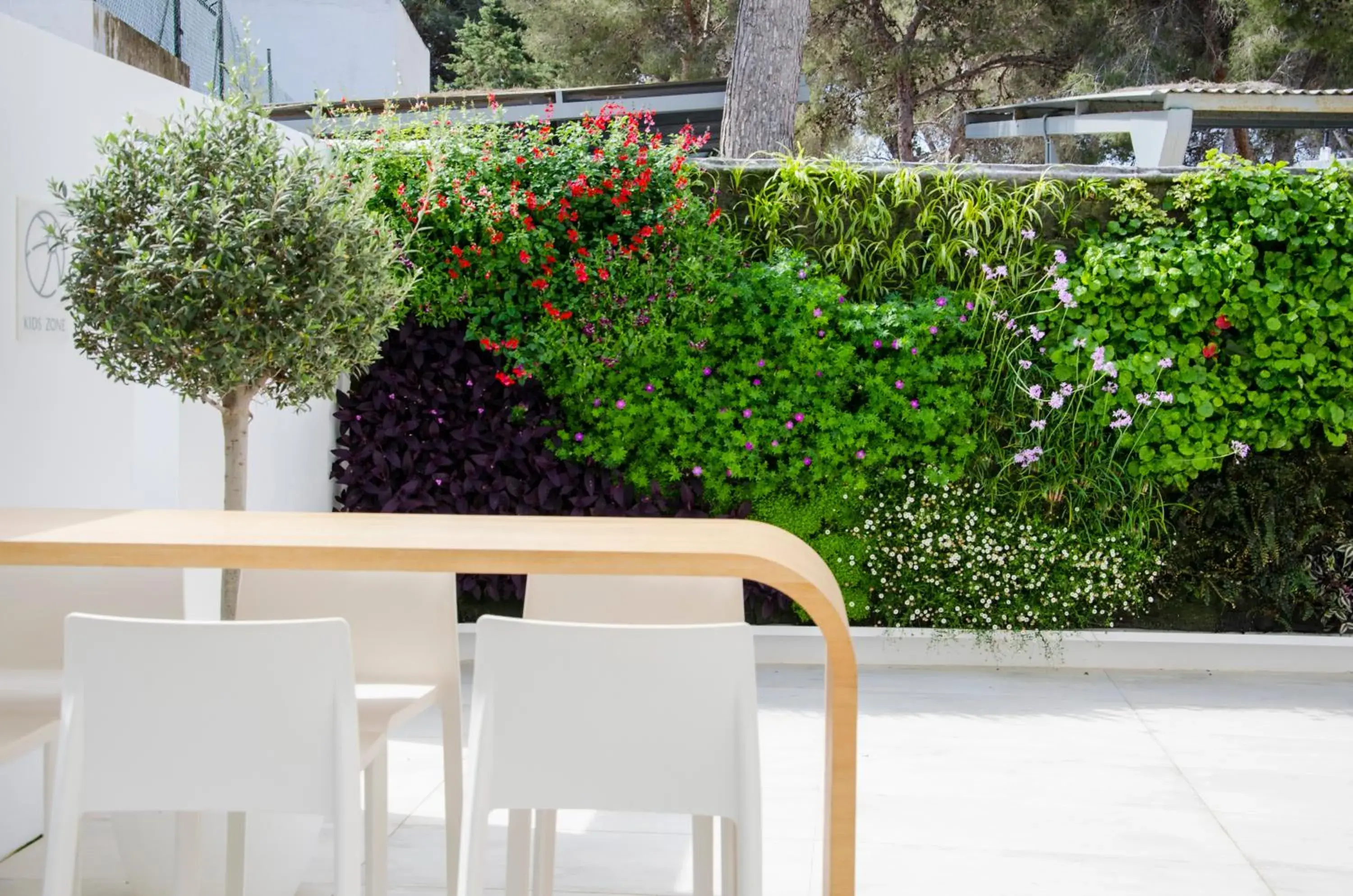 Garden in Hotel Anfora Ibiza