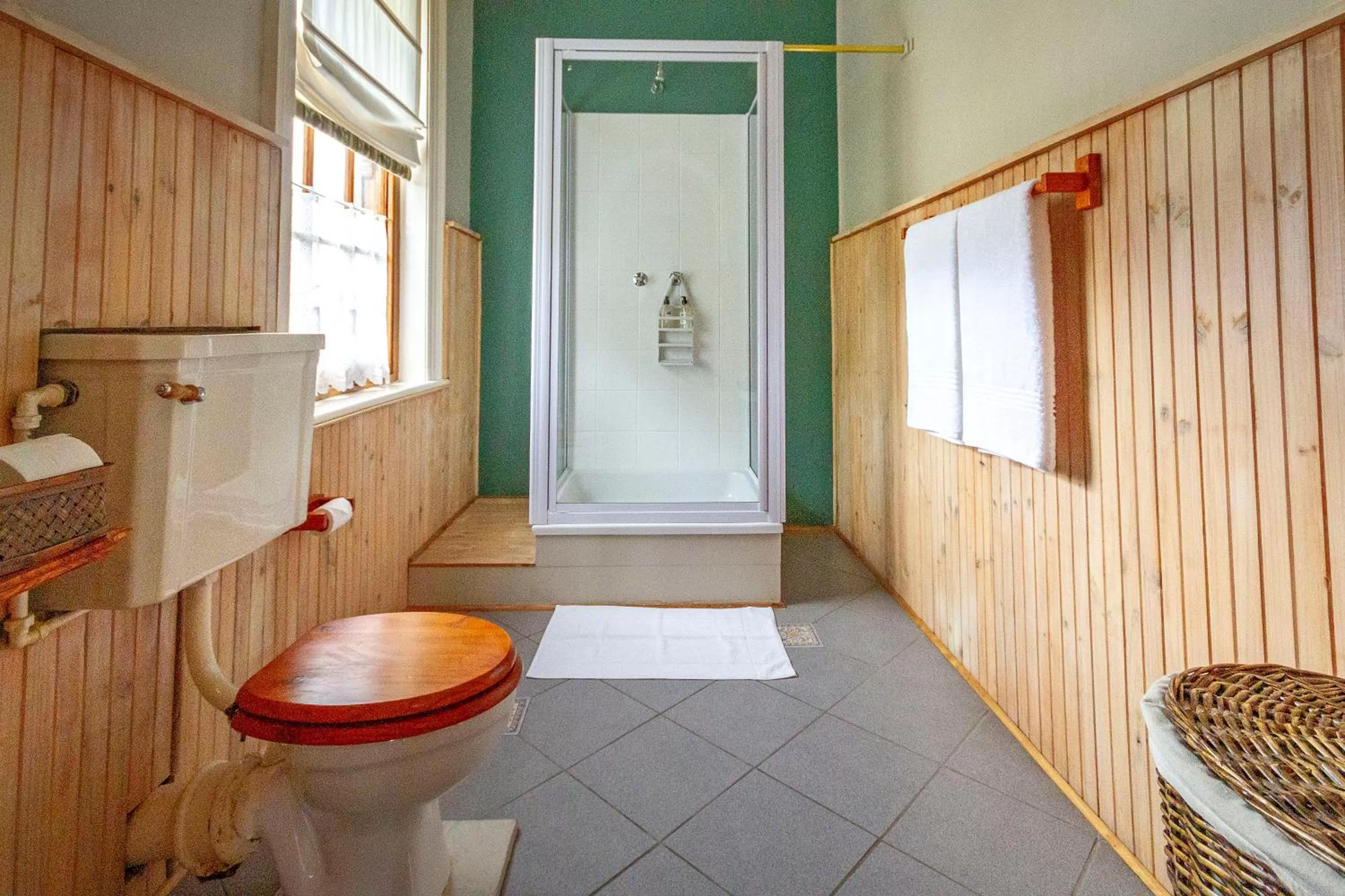 Shower, Bathroom in Airlies Historical Guest House