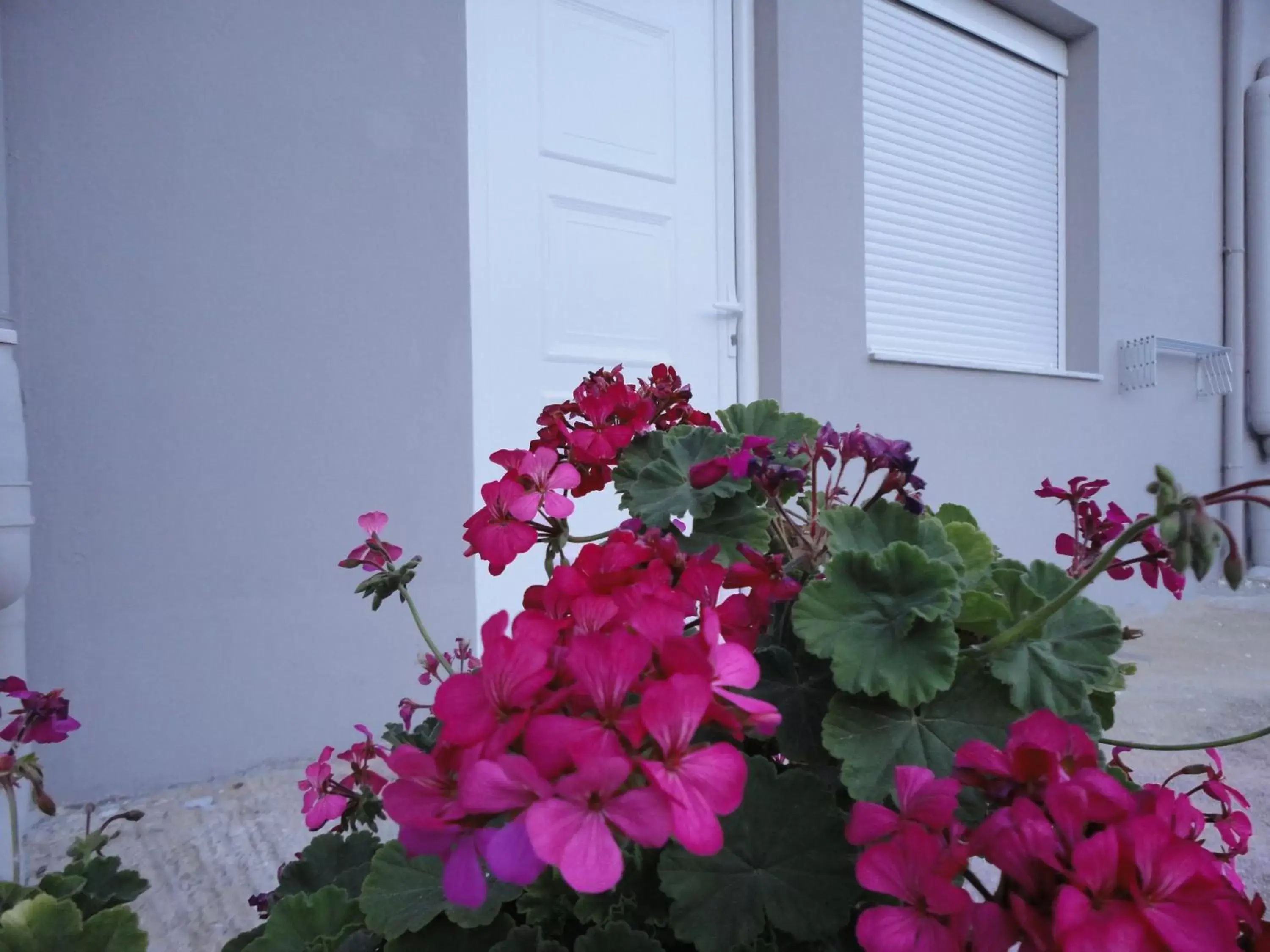 Patio in Petries Studios