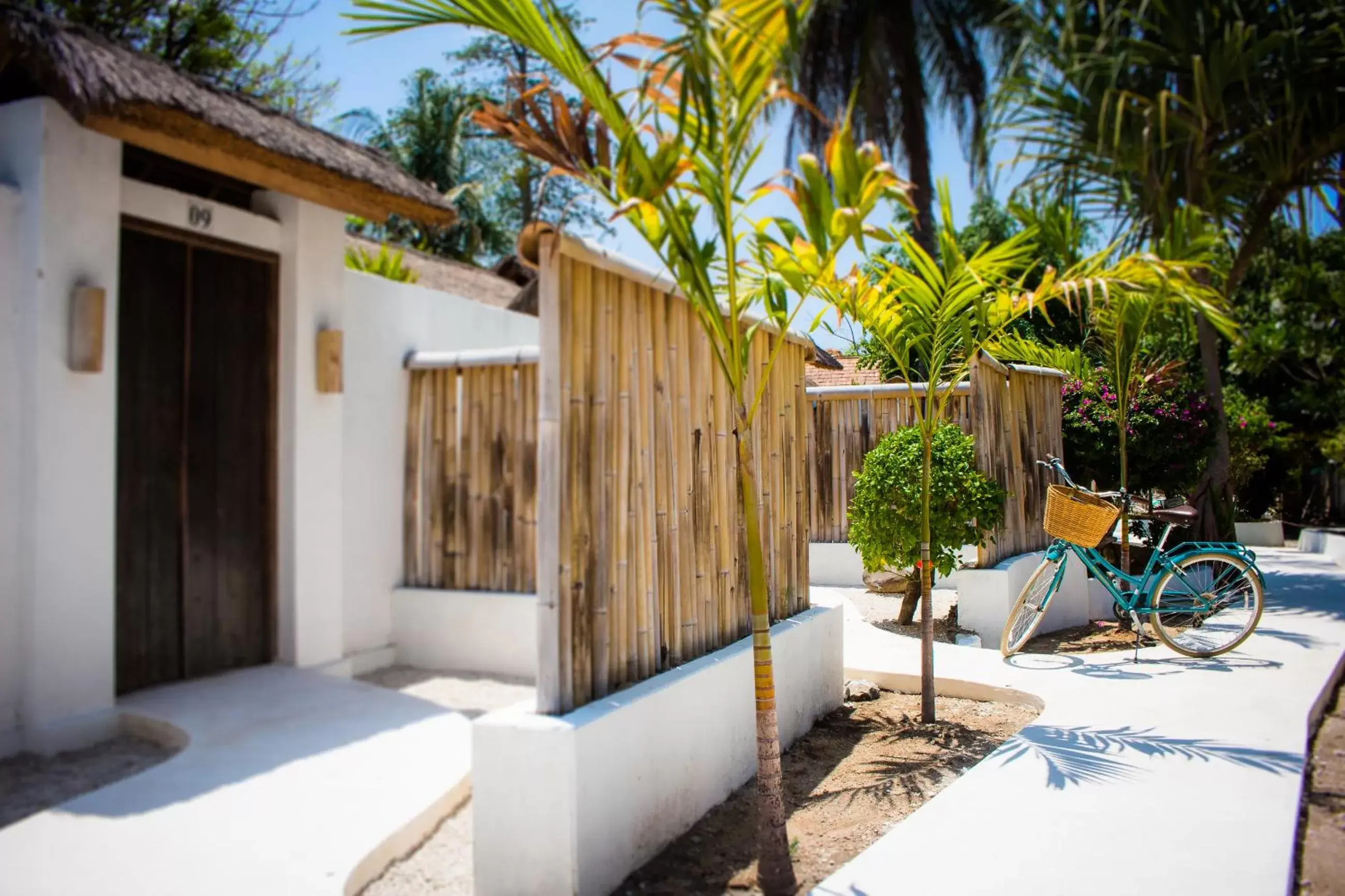 Garden view in Sunrise Resort Garden view in Sunrise Resort