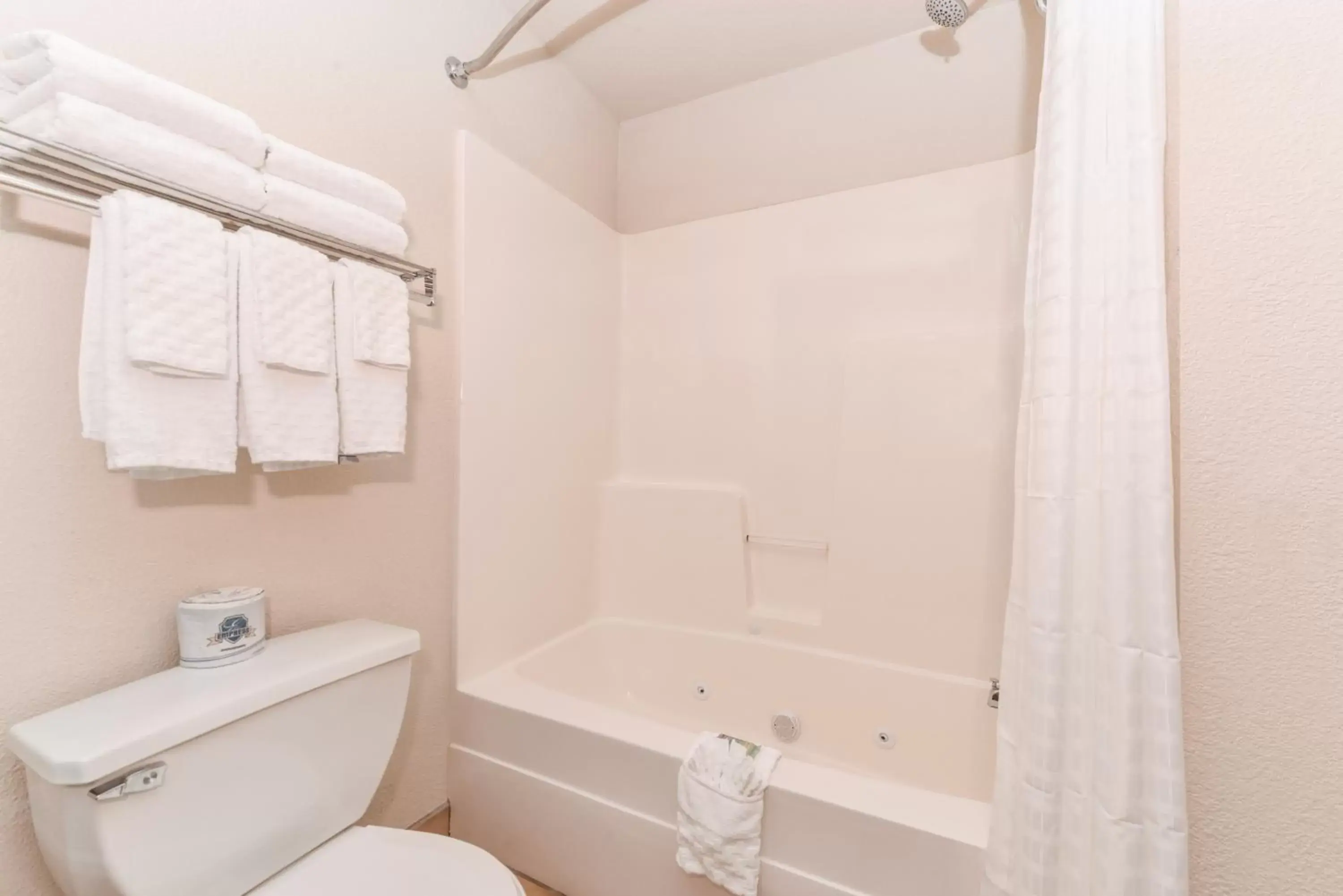 Bathroom in Best Western Big Spring Lodge