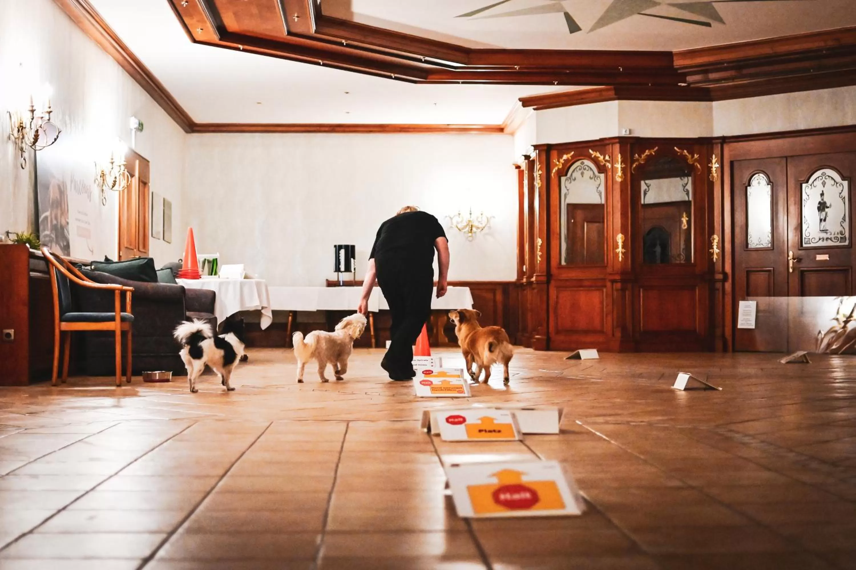 Banquet/Function facilities in Berghotel Steiger - Erzgebirge