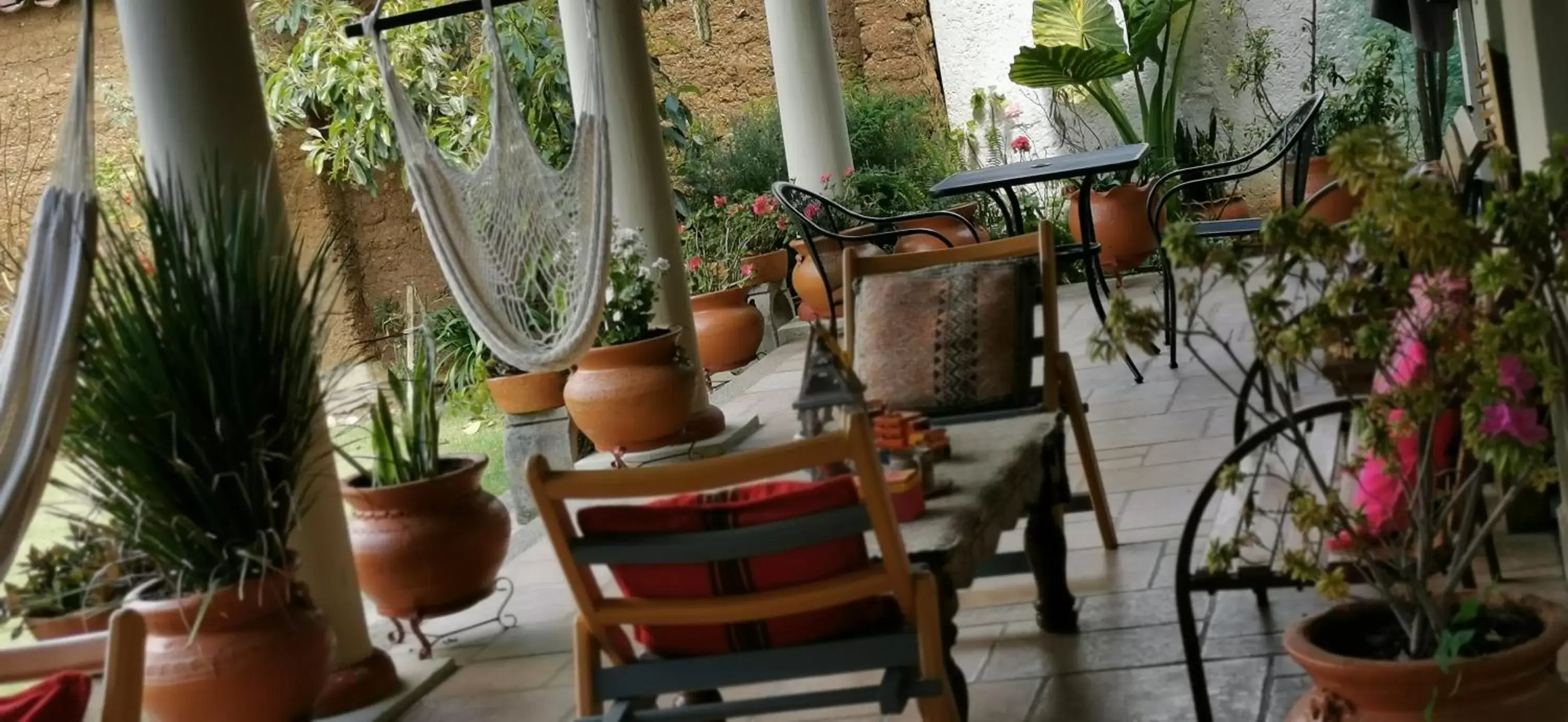 Patio in Hotel Ocho Barrios