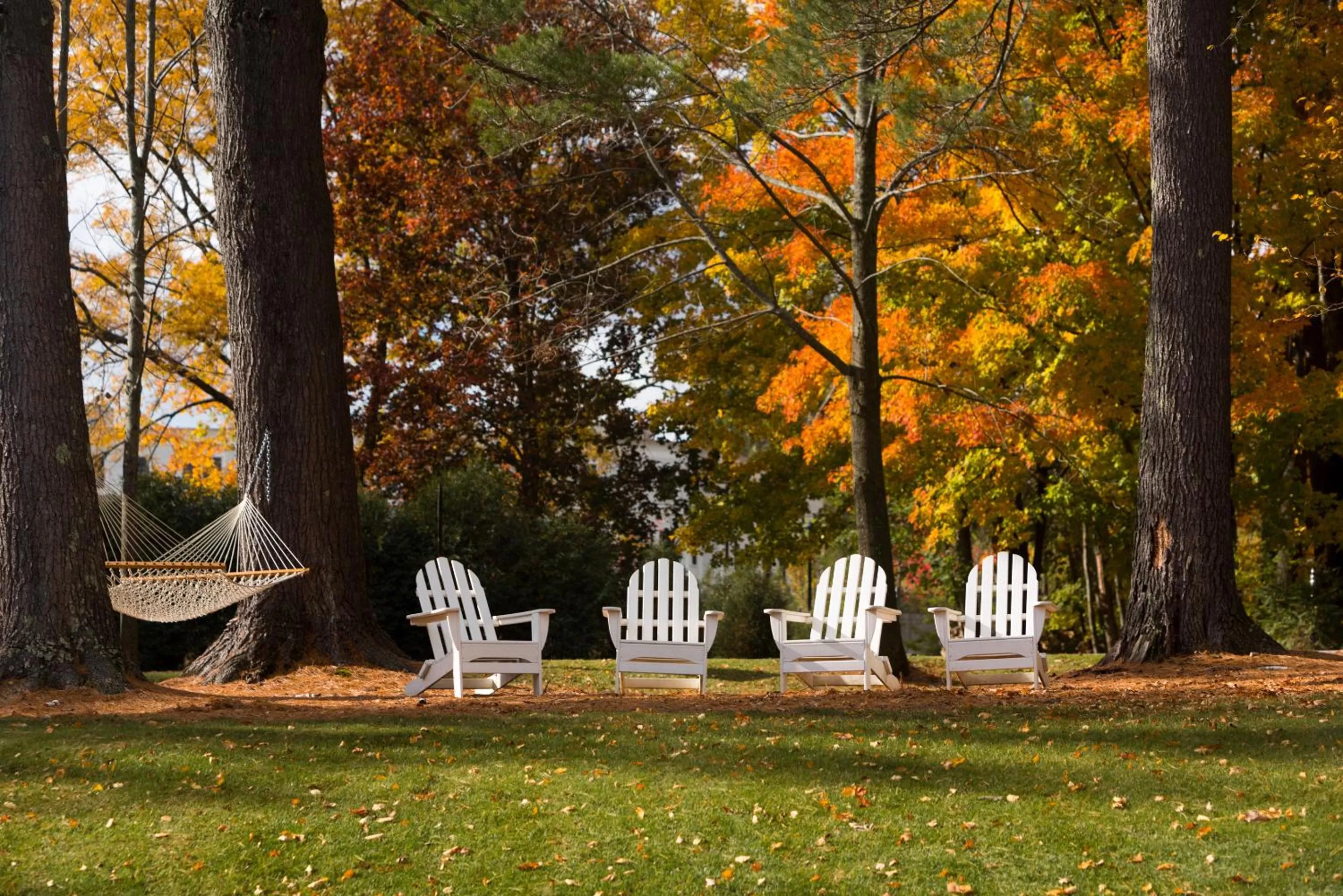 Natural landscape in The Inn at Manchester